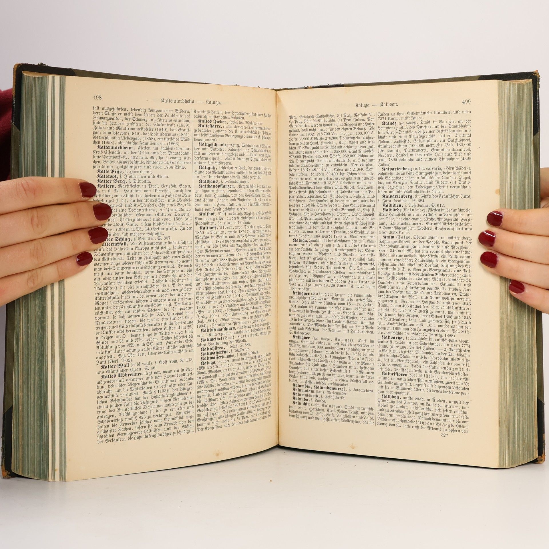 Autorenkollektiv Meyers Großes Konversations-Lexikon 19