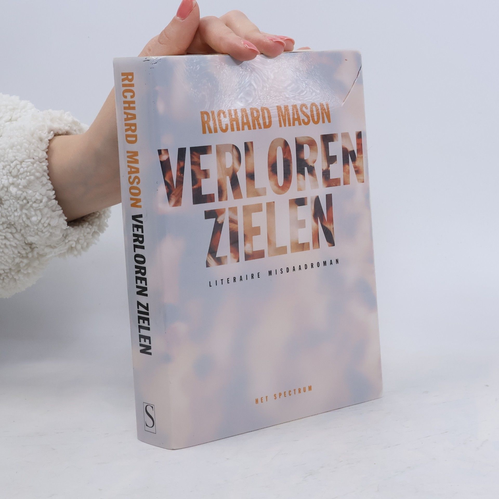 Richard Mason Verloren zielen