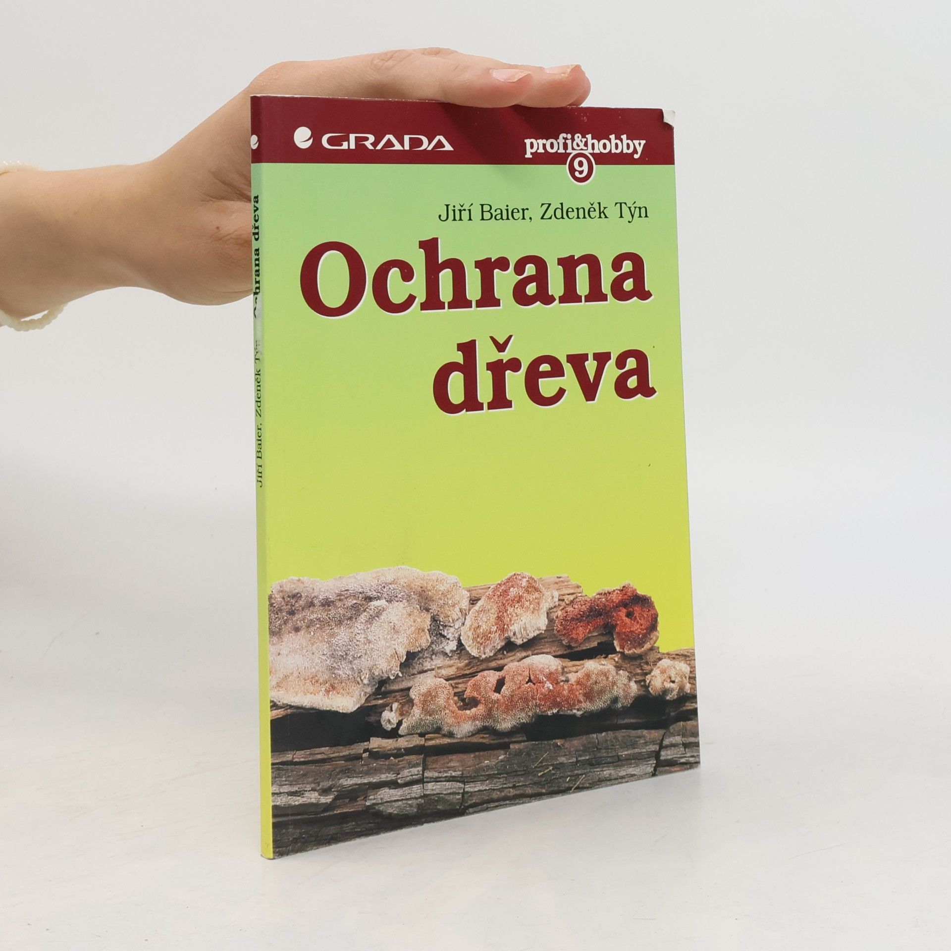 Zdeněk Týn Ochrana dřeva