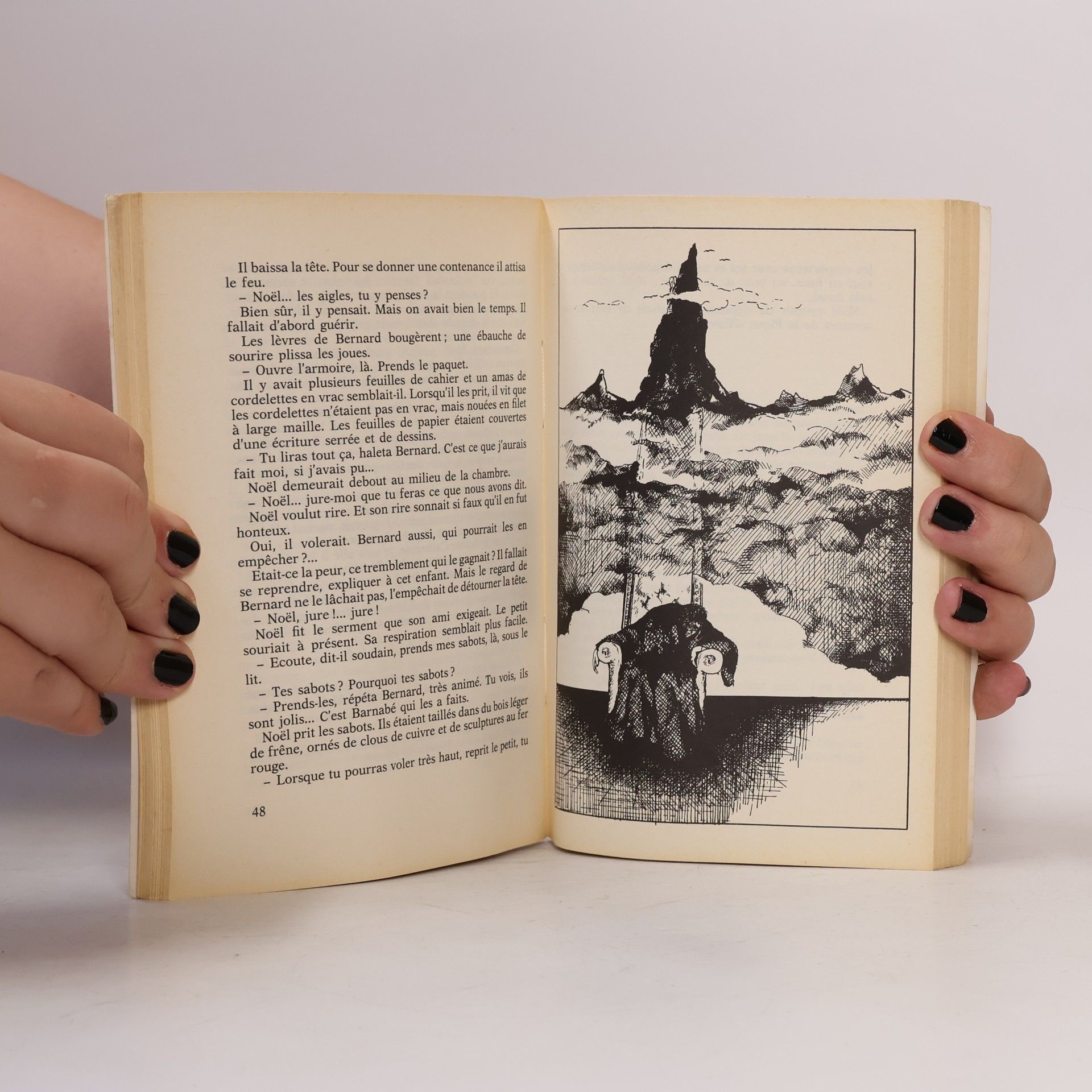 M. A. Baudouy Les Maîtres de l'Aventure: L'Enfant aux aigles