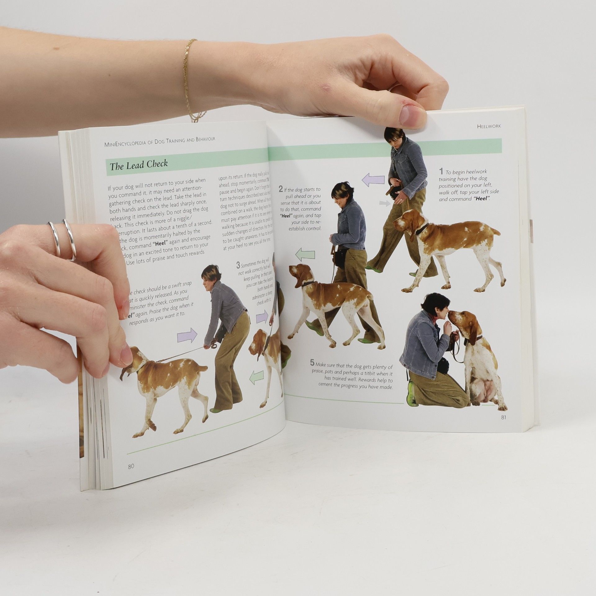 Colin Tennant Mini Encyclopedia of Dog Training and Behaviour