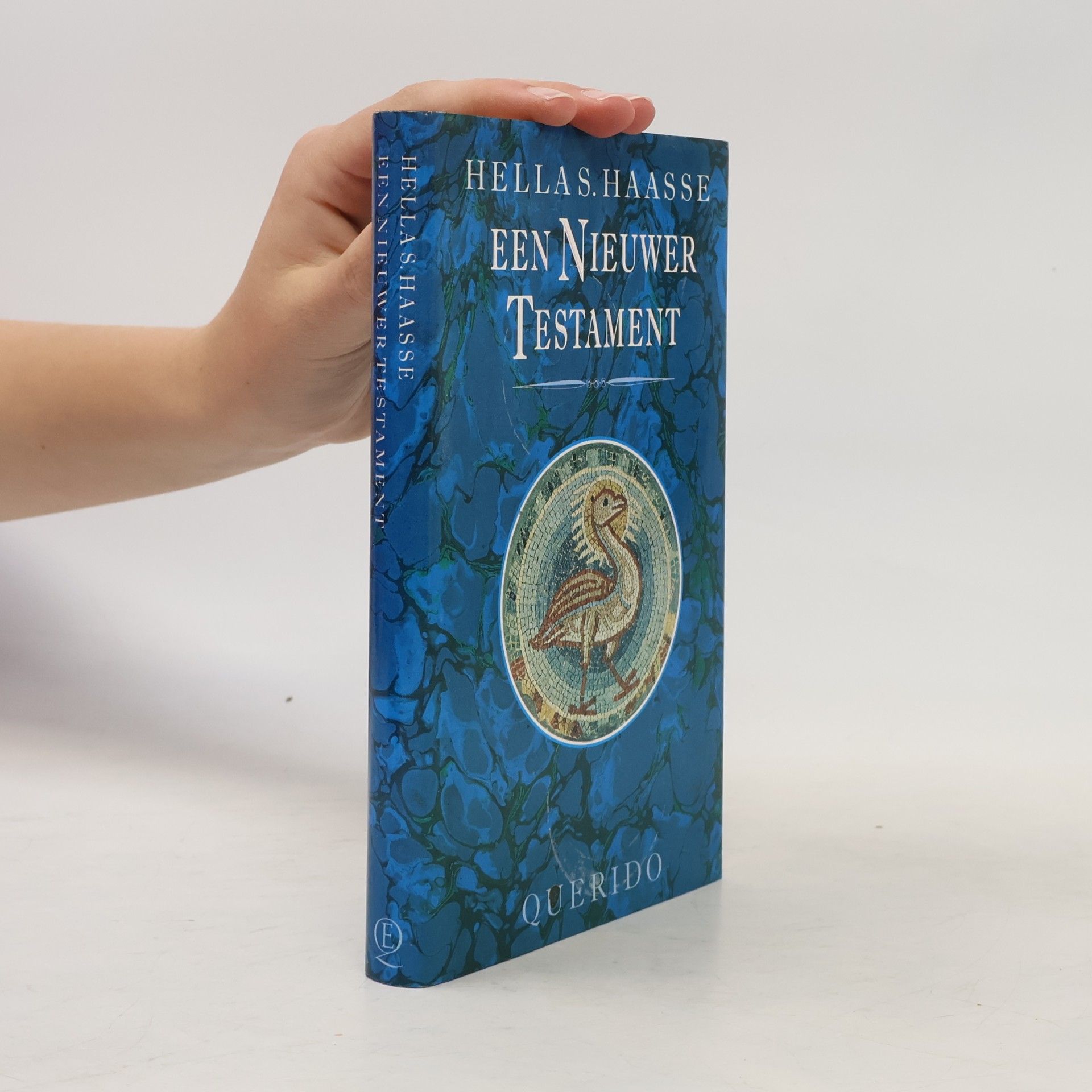 Hella S. Haasse Een nieuwer testament