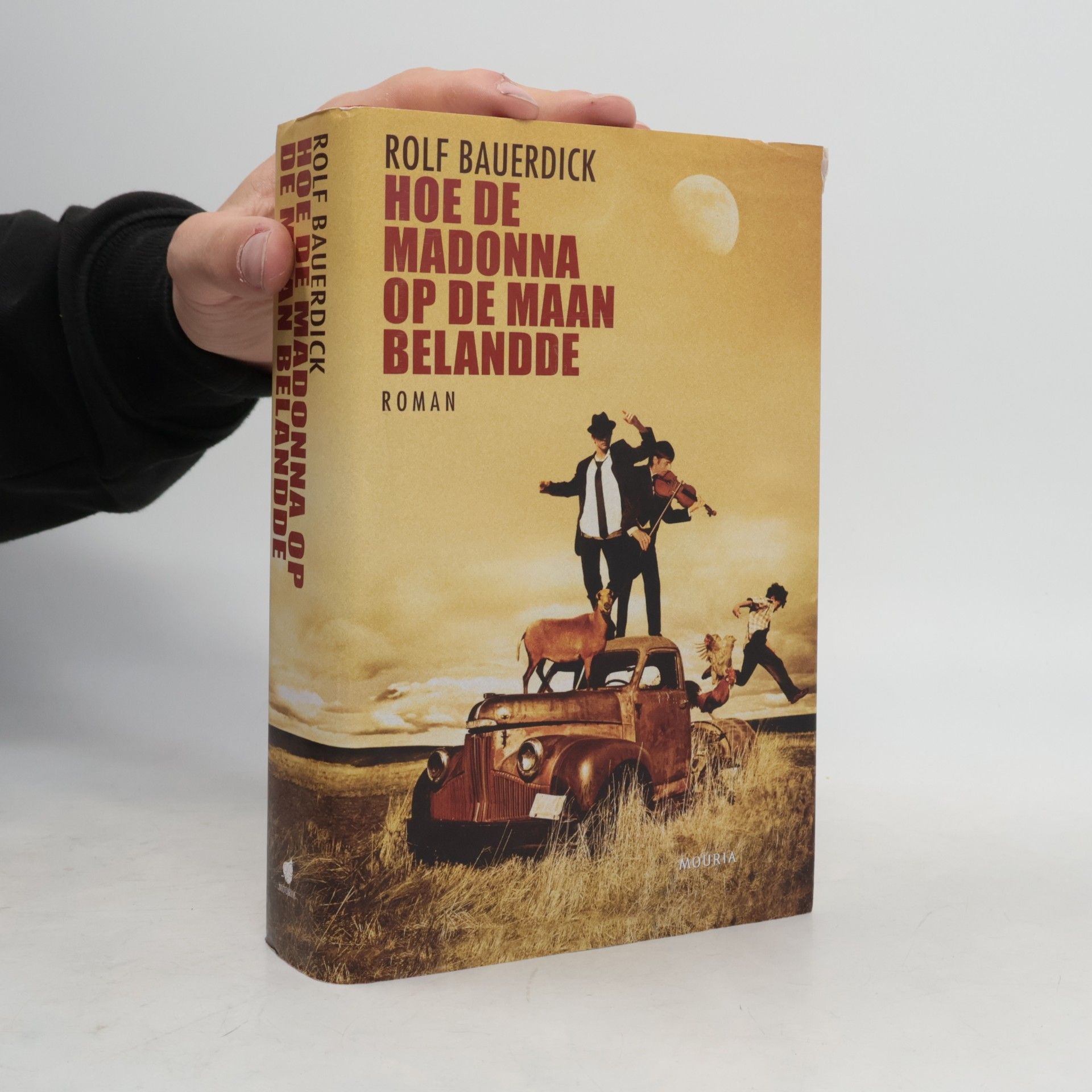 Rolf Bauerdick Hoe de madonna op de maan belandde