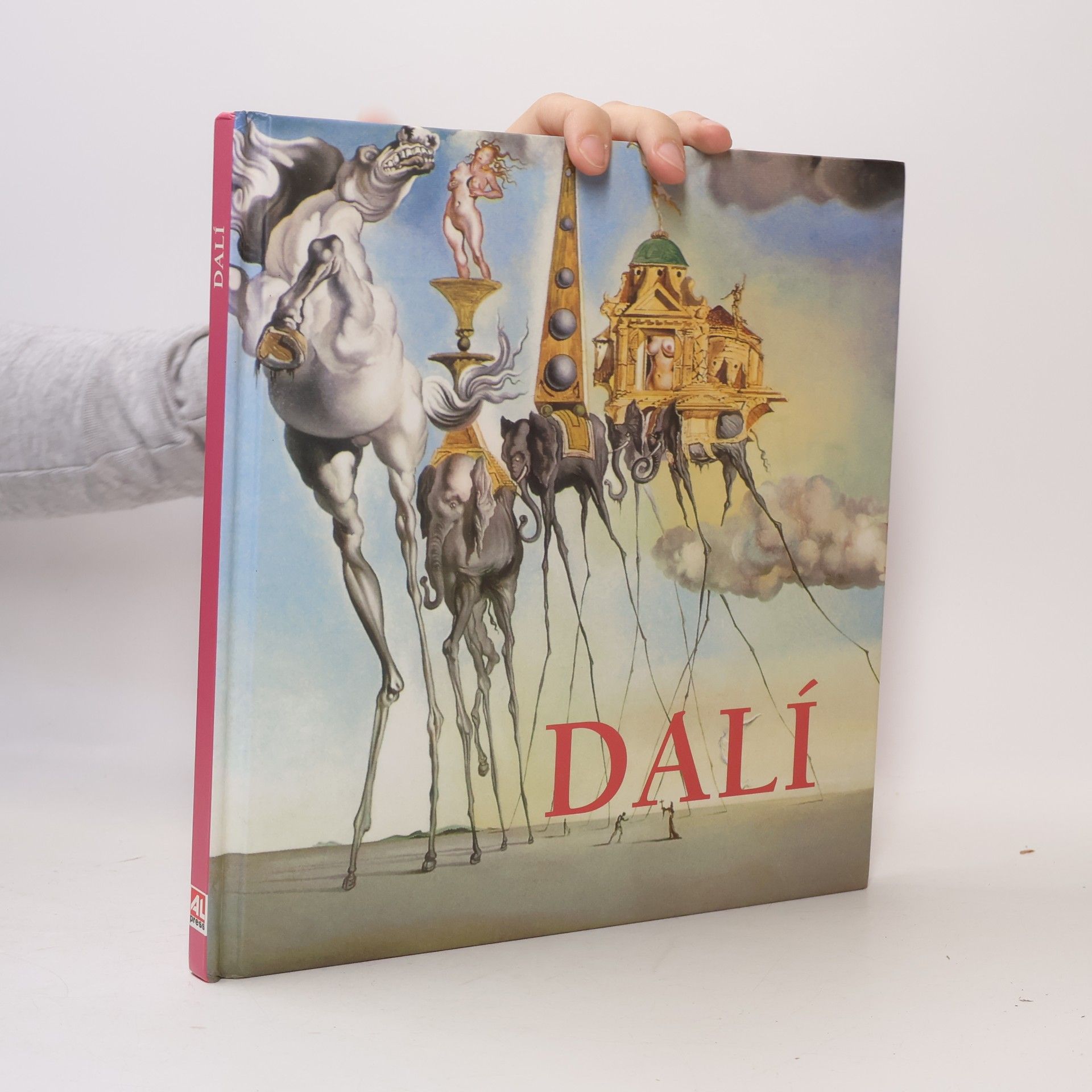 Autorenkollektiv Dalí Salvador