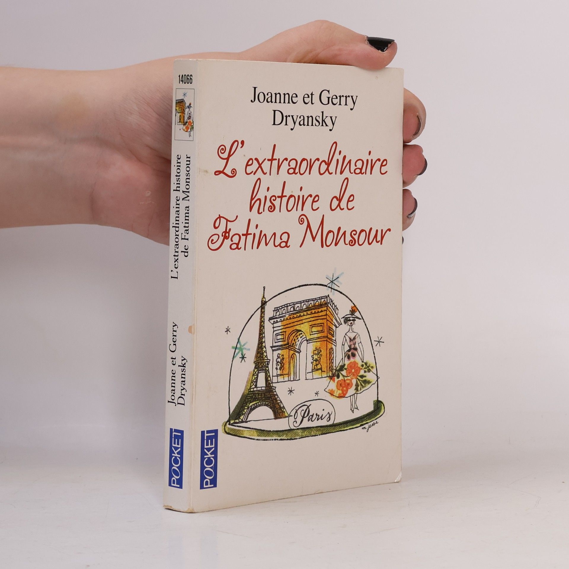 Joanne Dryansky L'extraordinaire histoire de Fatima Monsour