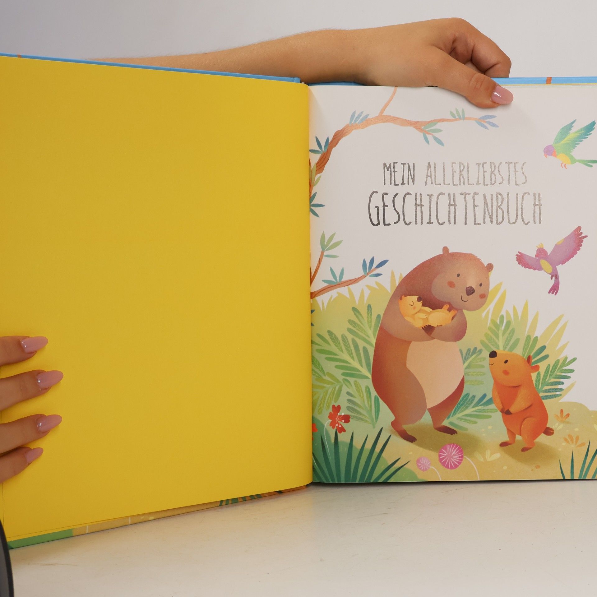 kolektiv Mein Allerliebstes. Geschichtenbuch