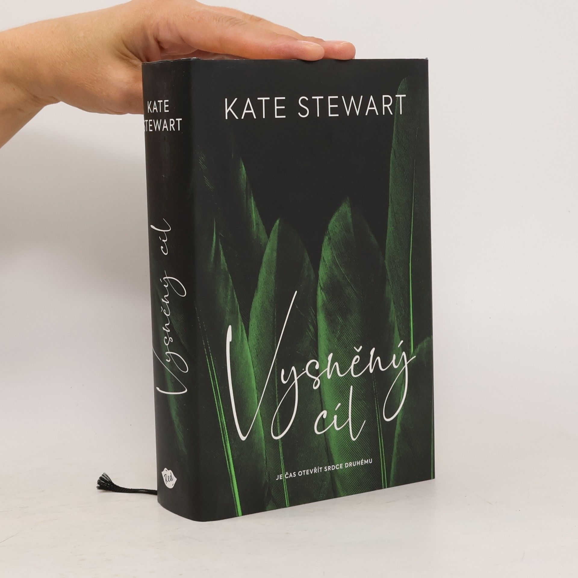 Kate Stewart Vysněný cíl. Kniha třetí