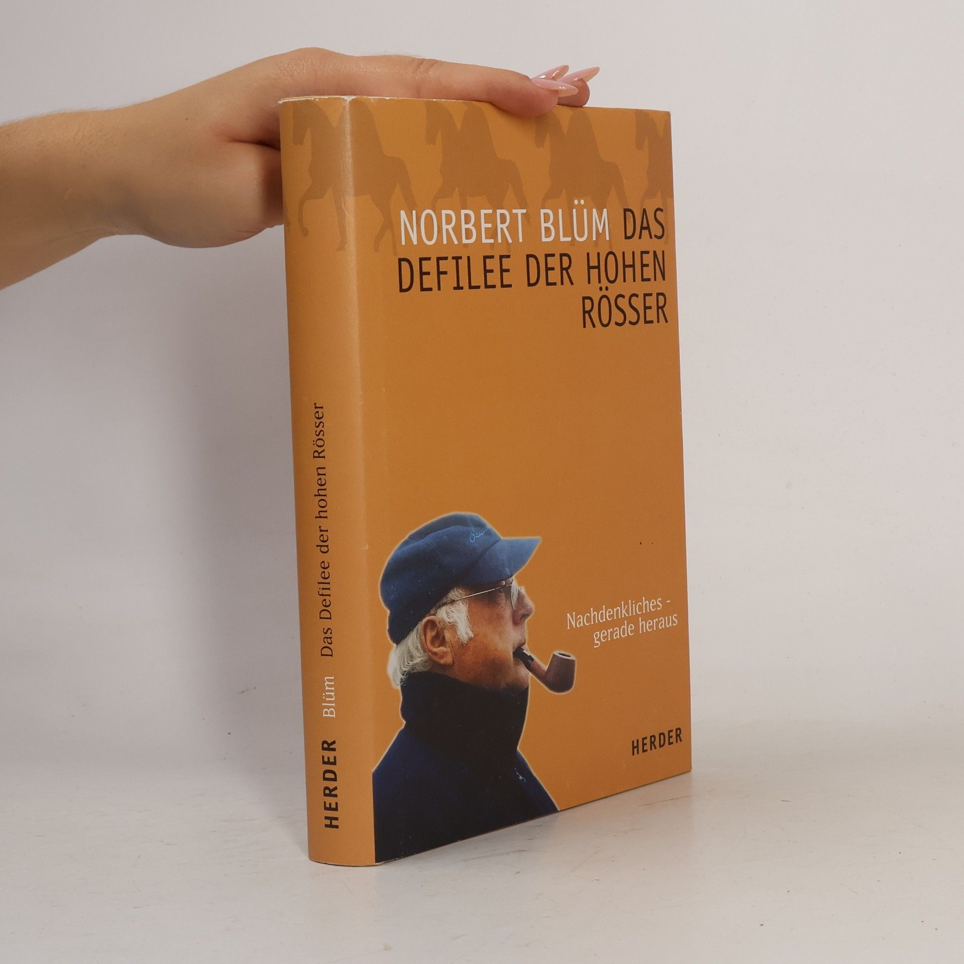 Norbert Blüm Das Defilee der hohen Rösser. Nachdenkliches - gerade heraus