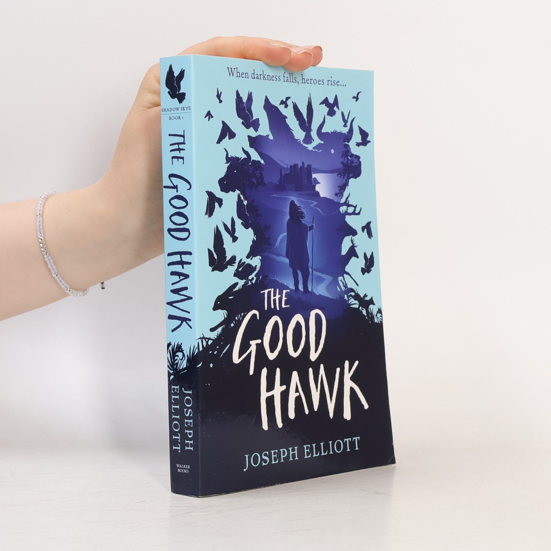 Joseph Elliot The Good Hawk