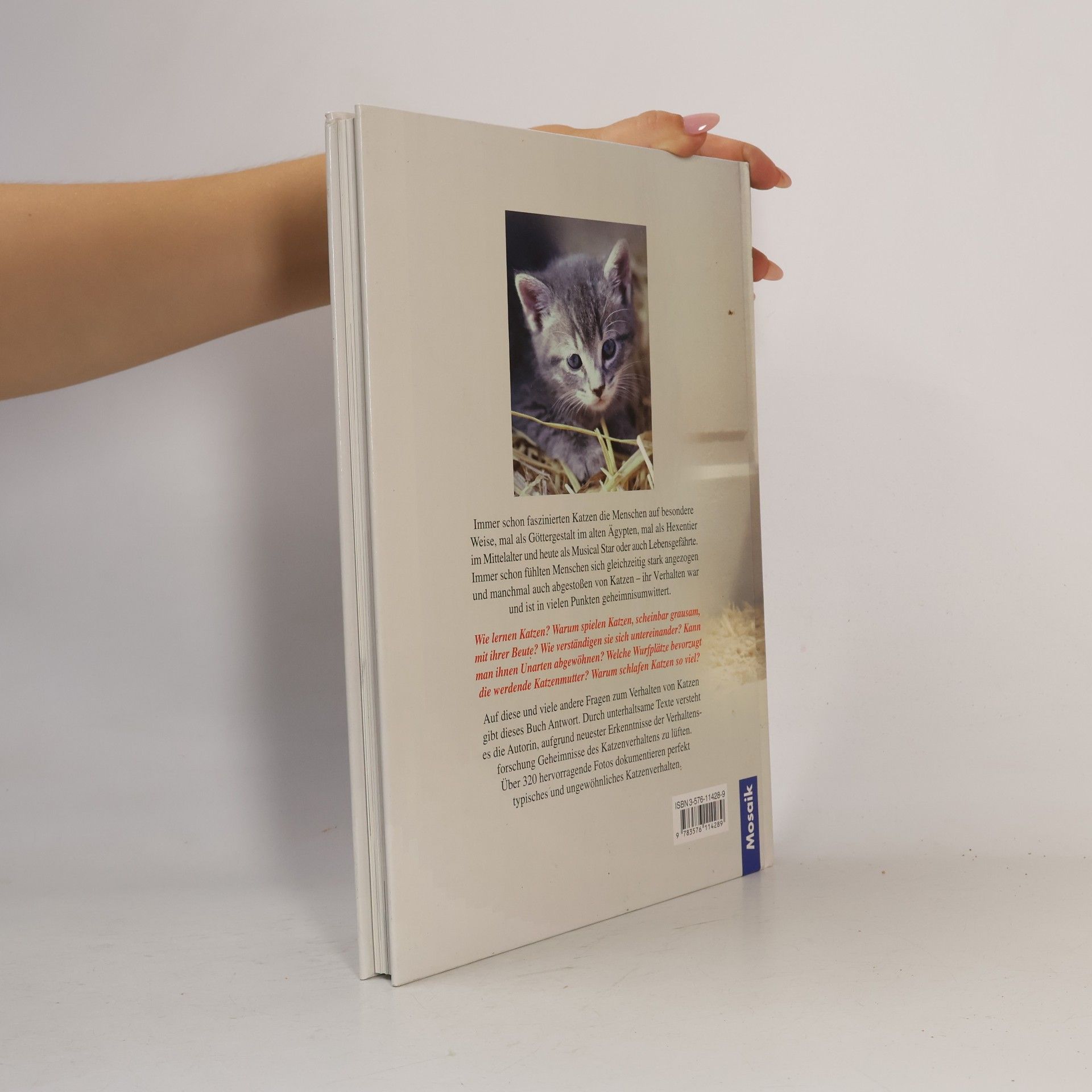 Helga Hofmann Meine Katze richtig verstehen