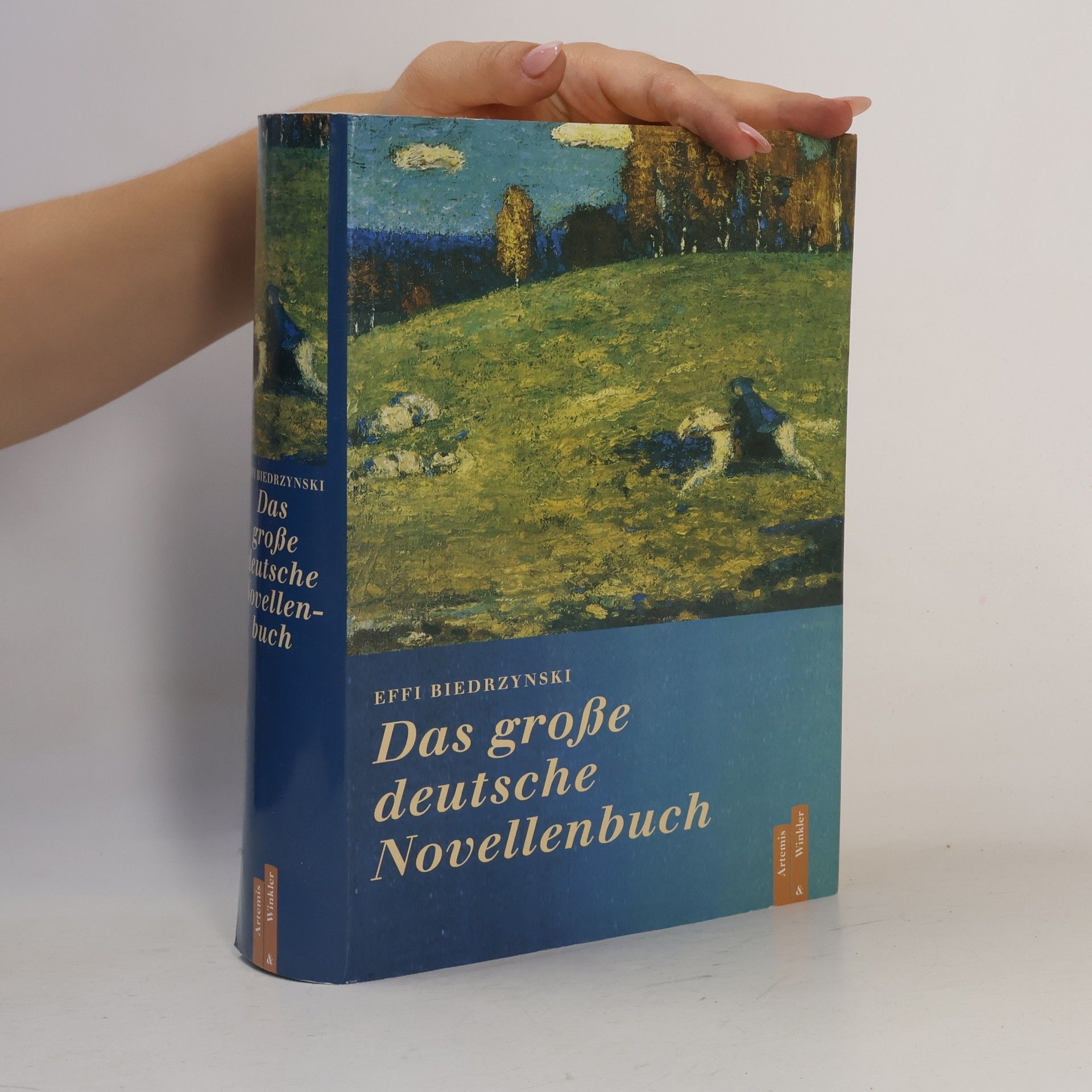 Effi Biedrzynski Das große deutsche Novellenbuch