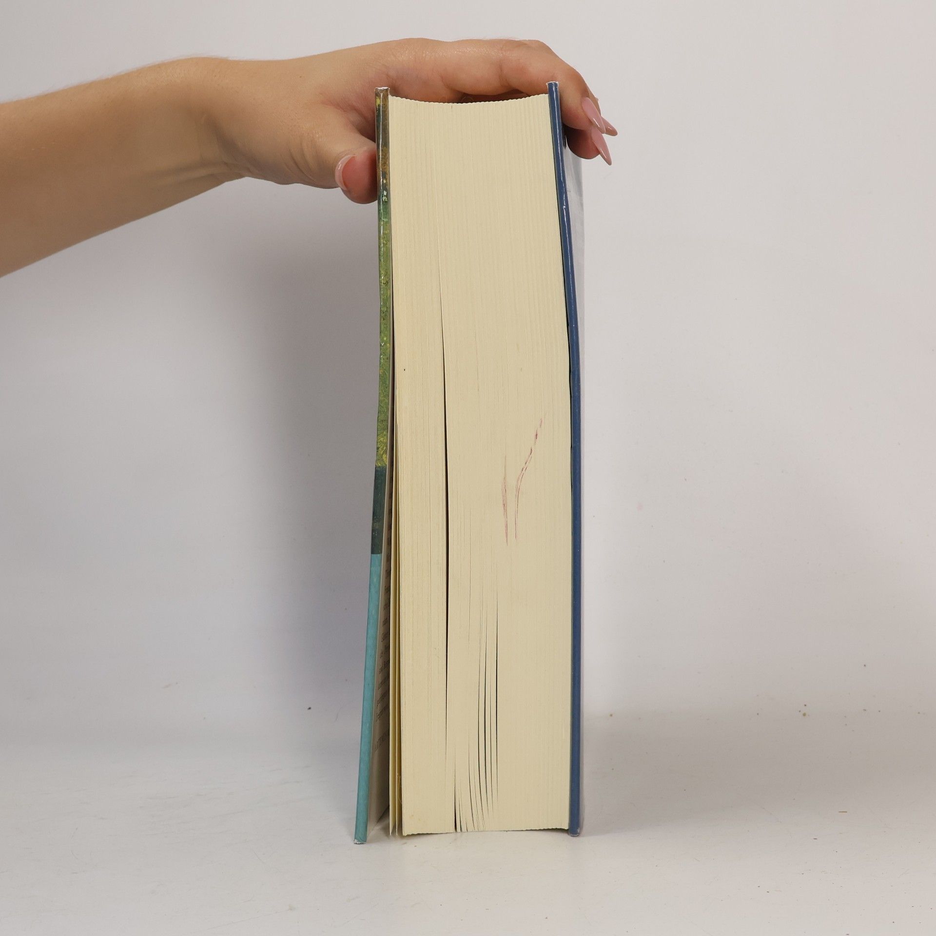 Effi Biedrzynski Das große deutsche Novellenbuch