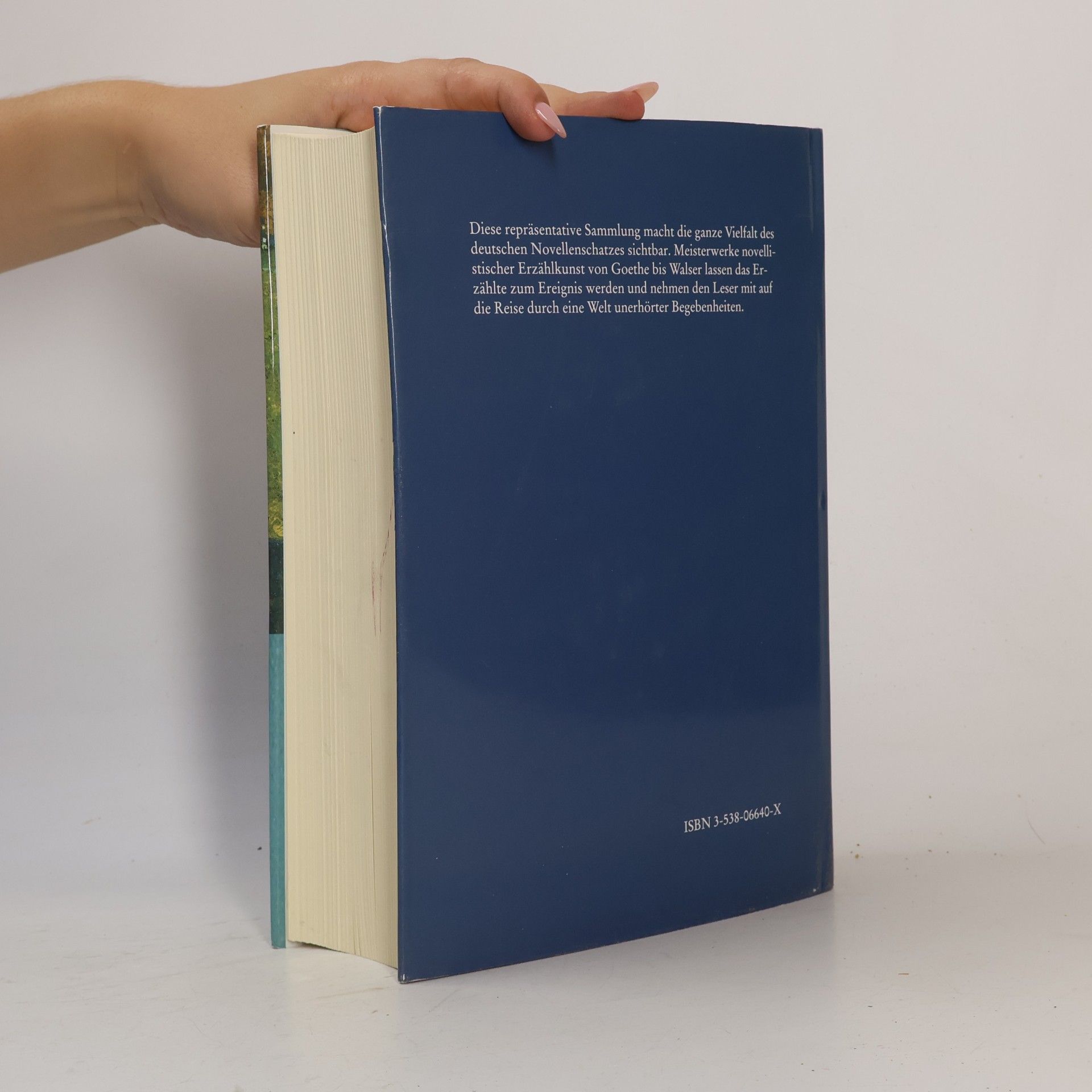 Effi Biedrzynski Das große deutsche Novellenbuch