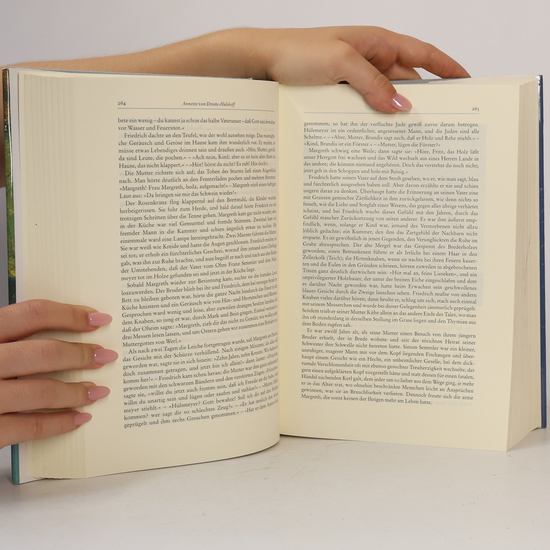 Effi Biedrzynski Das große deutsche Novellenbuch