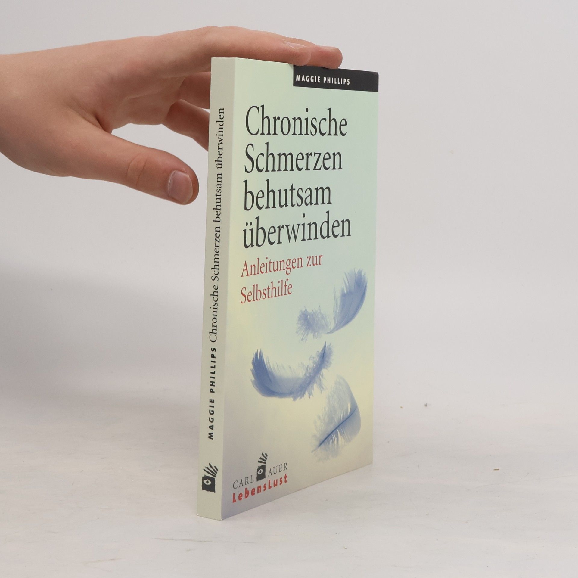 Maggie Phillips Chronische Schmerzen behutsam überwinden