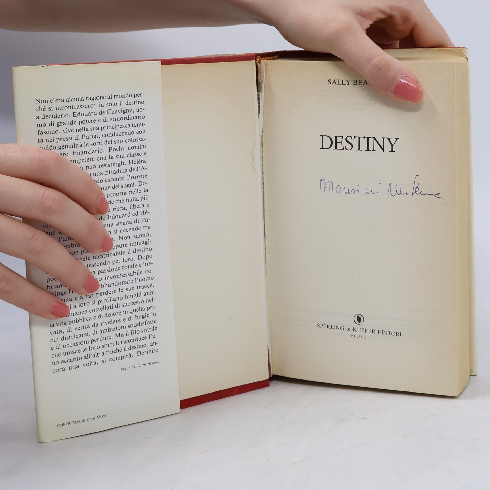 Sally Beauman Destiny