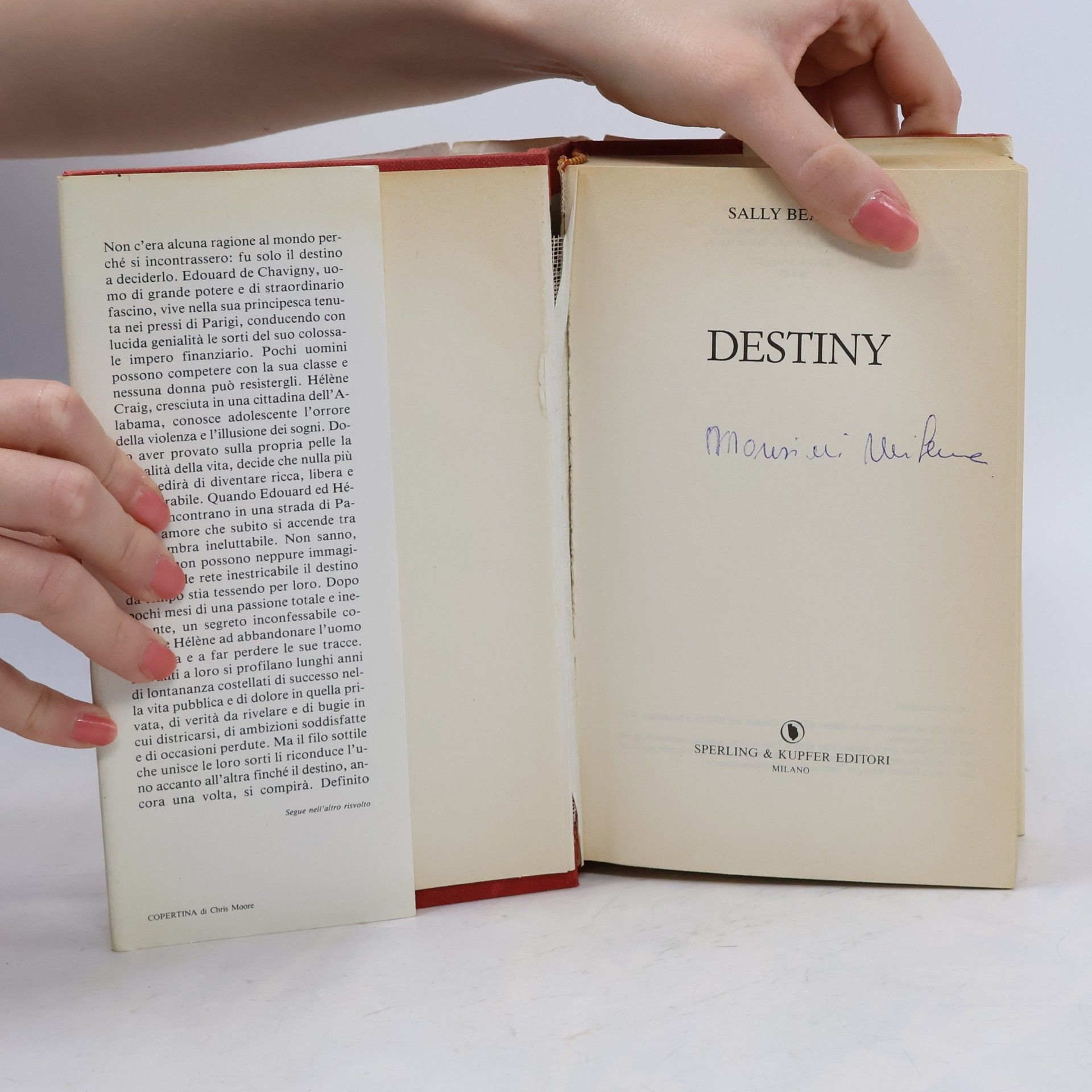 Sally Beauman Destiny