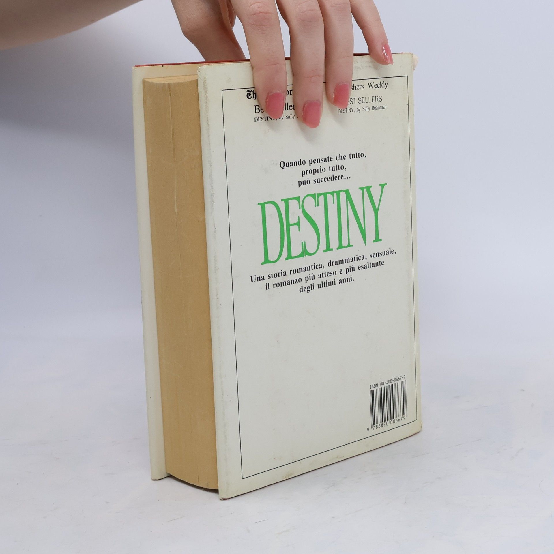 Sally Beauman Destiny