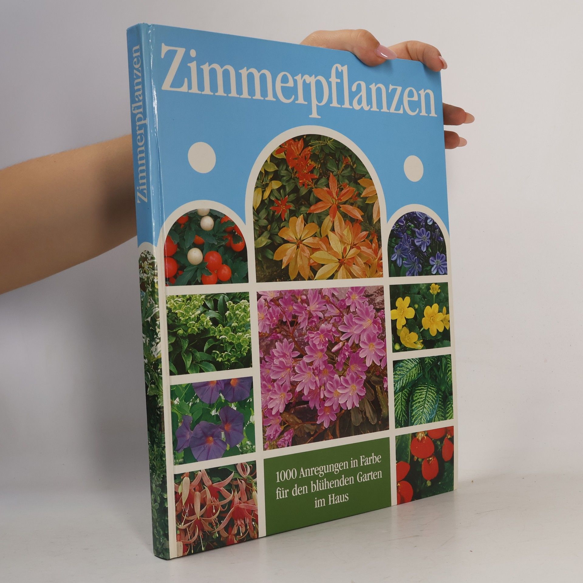 So pflegt man Zimmerpflanzen