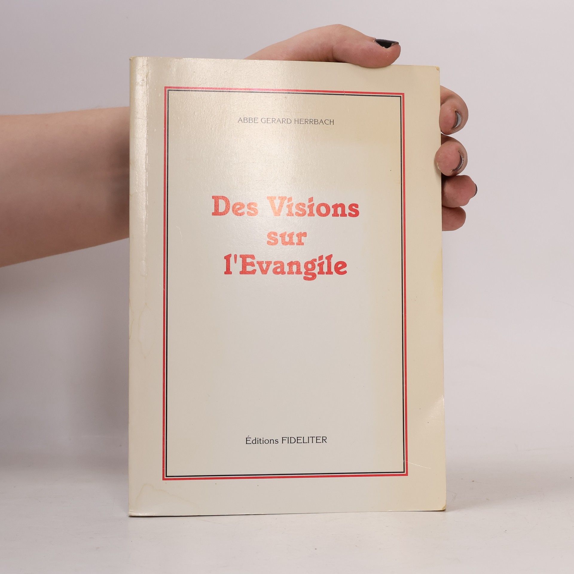Abbé Gérard Herrbach Des visions sur l'Evangile