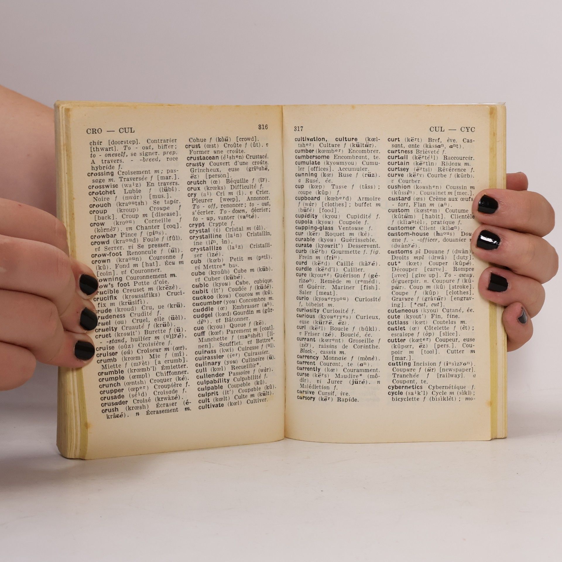 Various authors Larousse de Poche. Francais-anglais