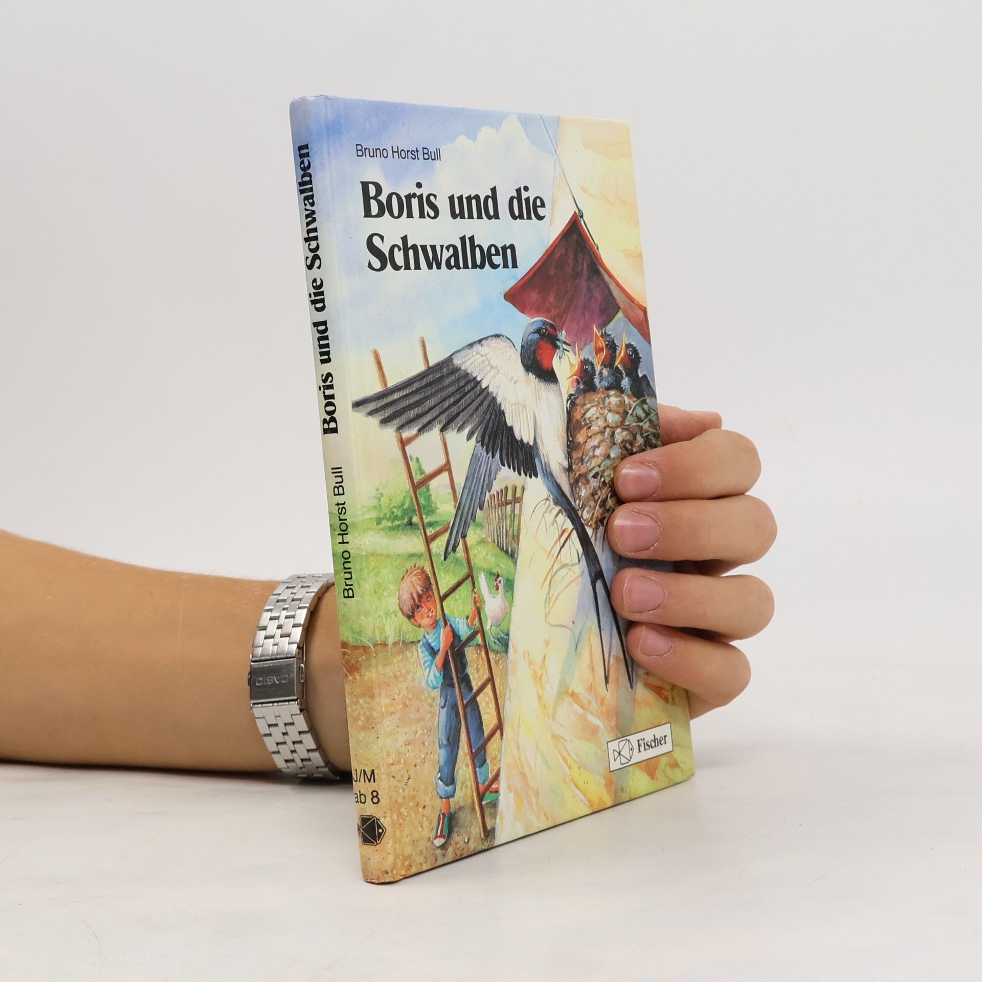 Bruno Horst Bull Boris und die Schwalben