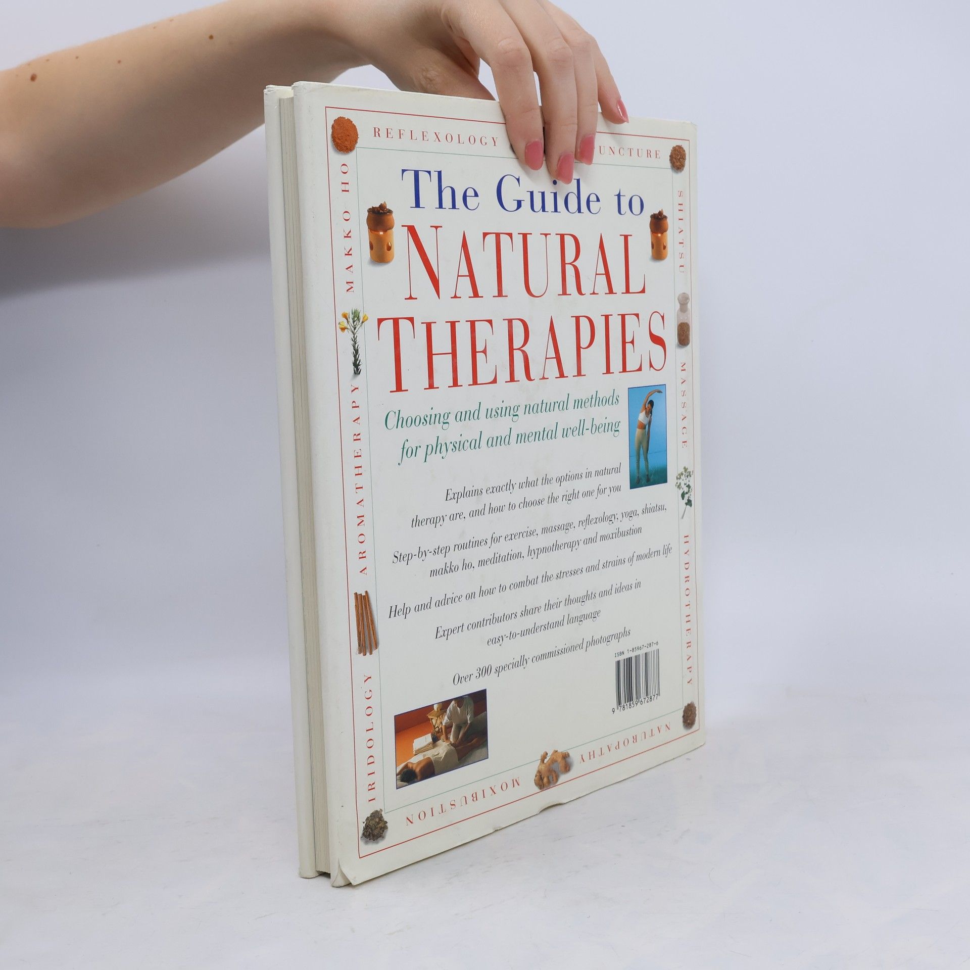 Marke Evans The Guide to Natural Therapies