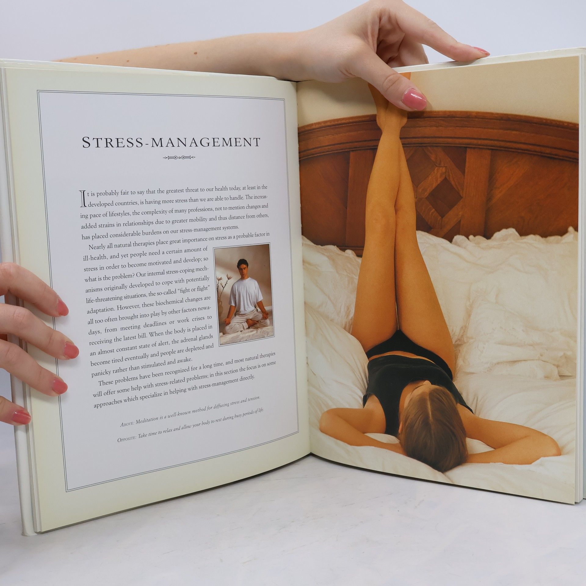 Marke Evans The Guide to Natural Therapies