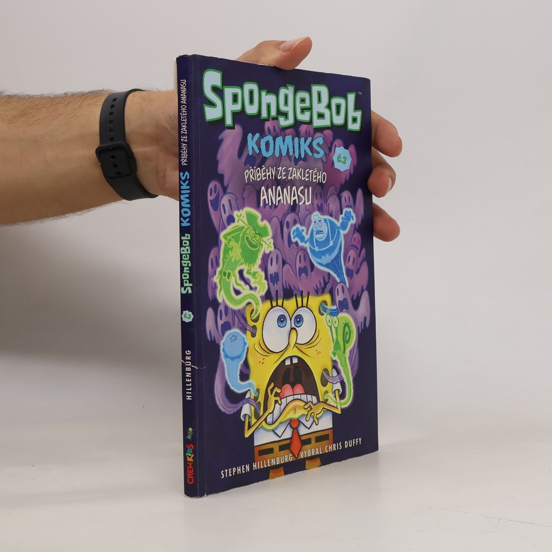 Stephen Hillenburg SpongeBob : komiks. Č. 3, Příběhy ze zakletého ananasu