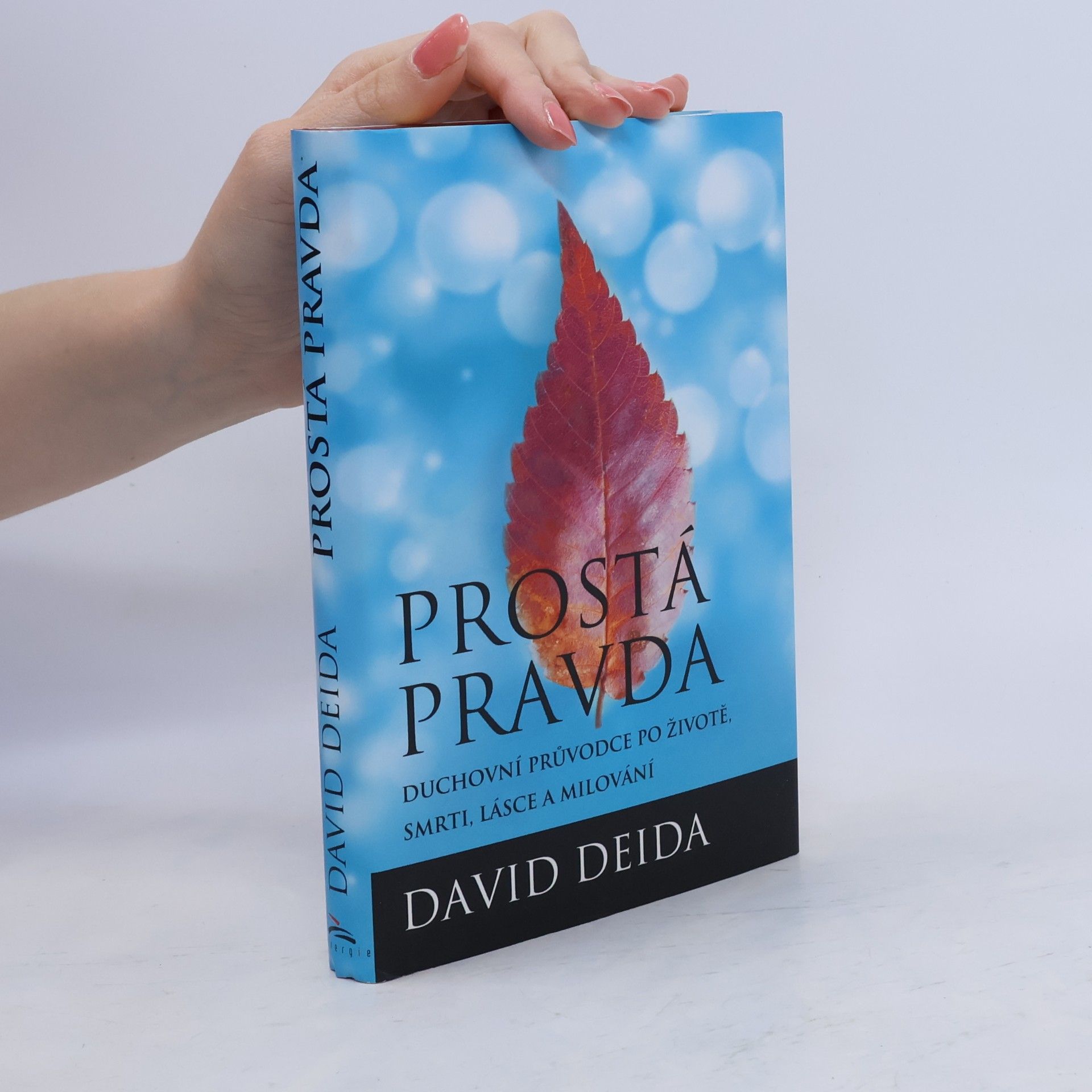 David Deida Prostá pravda