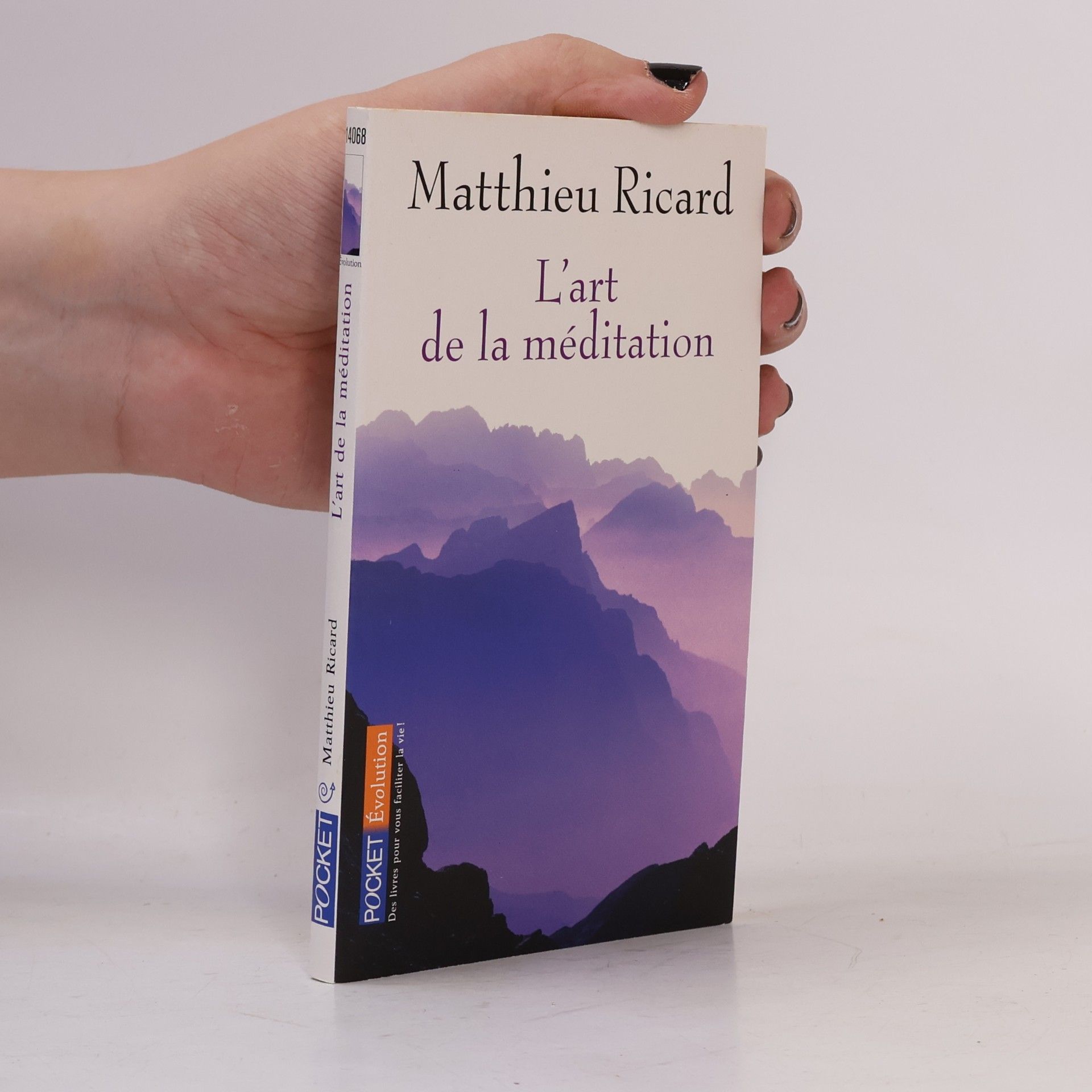 Matthieu Ricard L'Art de la méditation