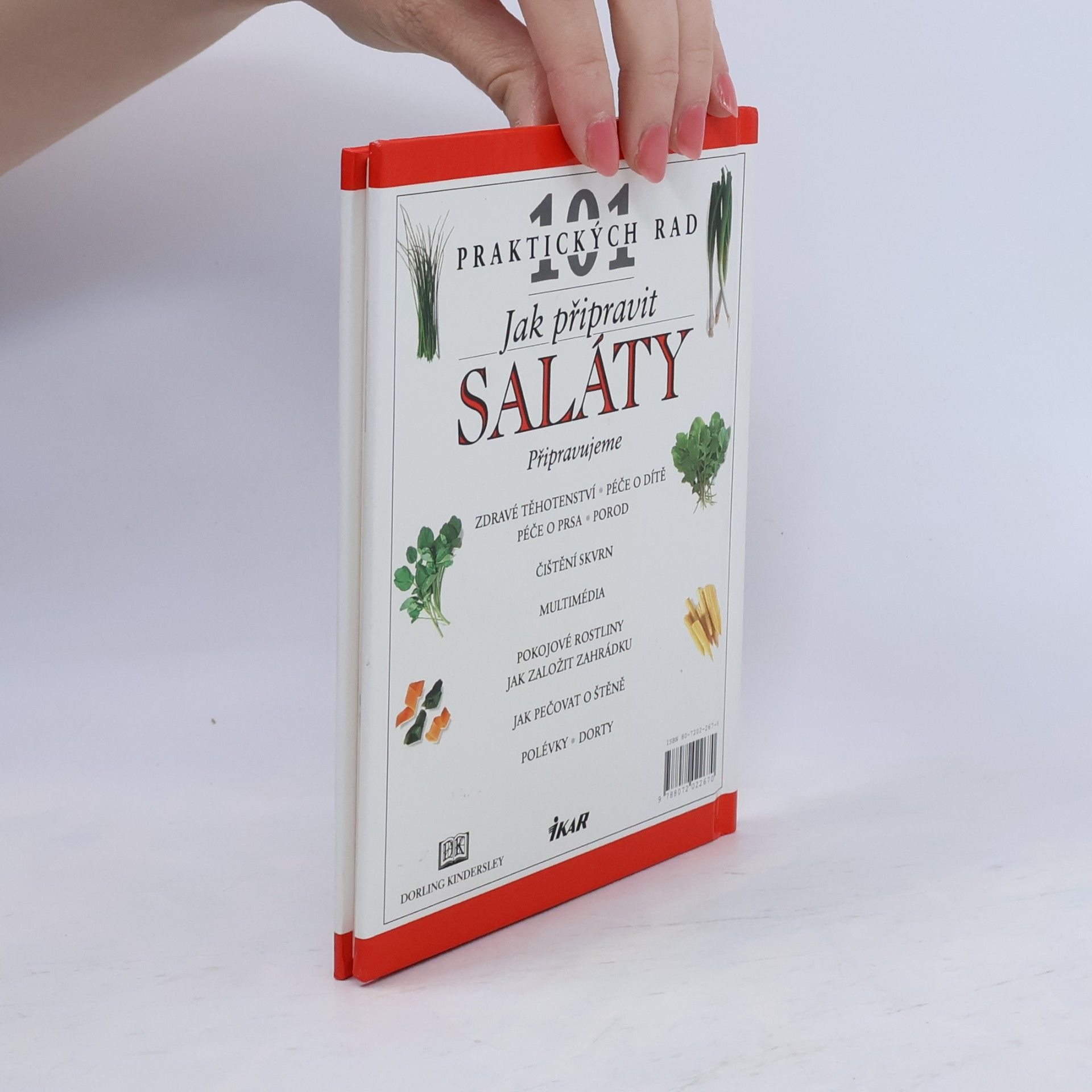 Anne Willan Jak připravit saláty