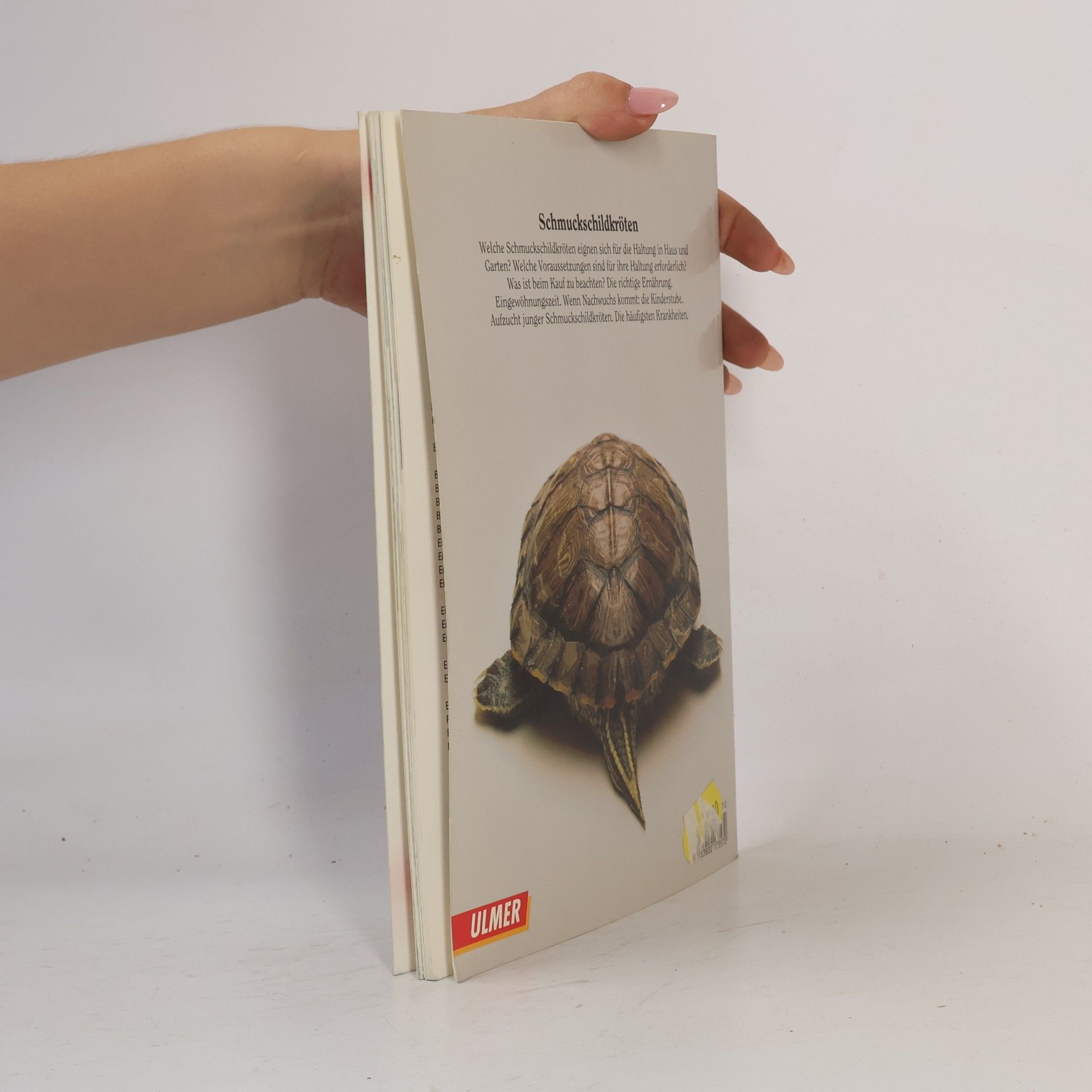 Reiner Praschag Heimtiere halten: Schmuckschildkröten