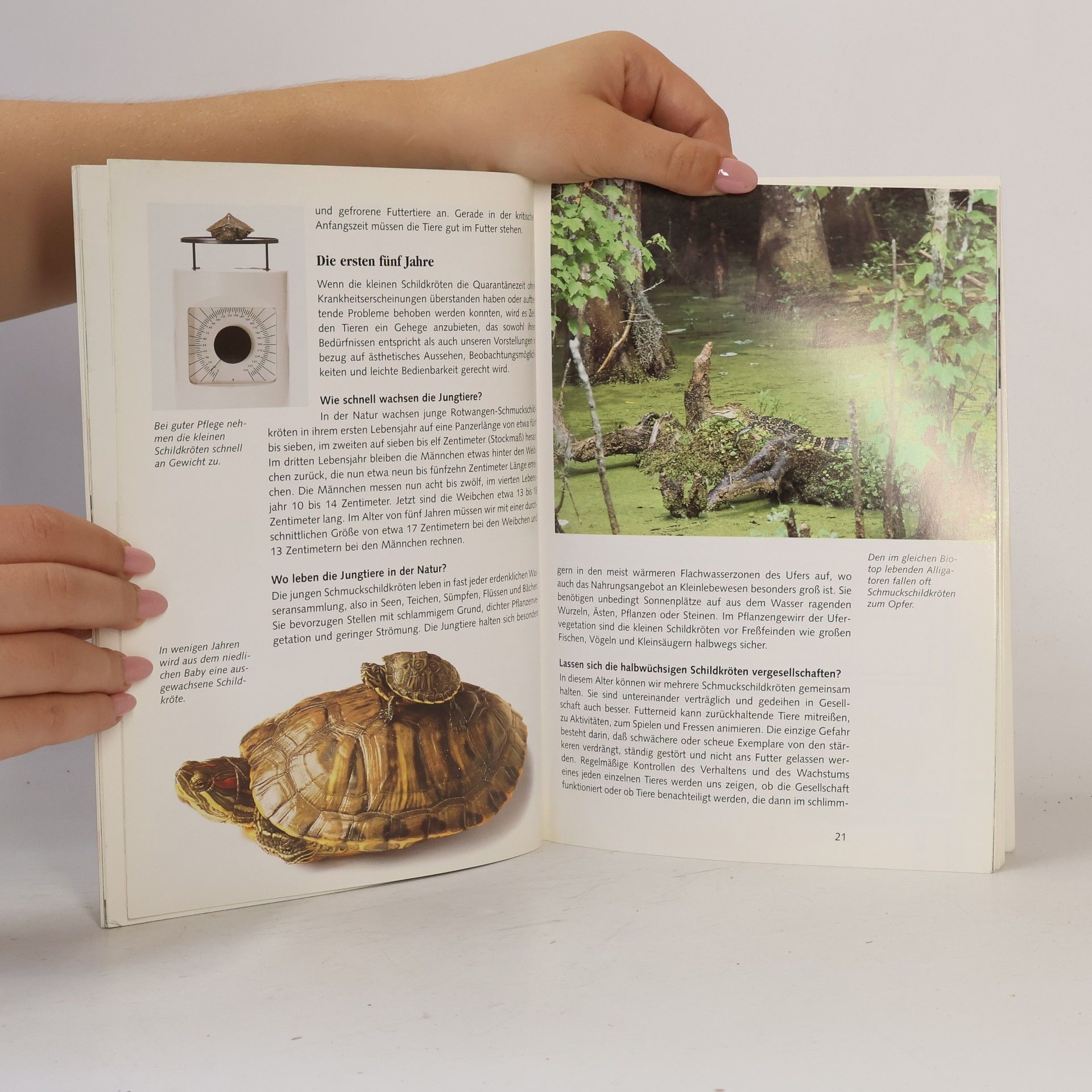 Reiner Praschag Heimtiere halten: Schmuckschildkröten