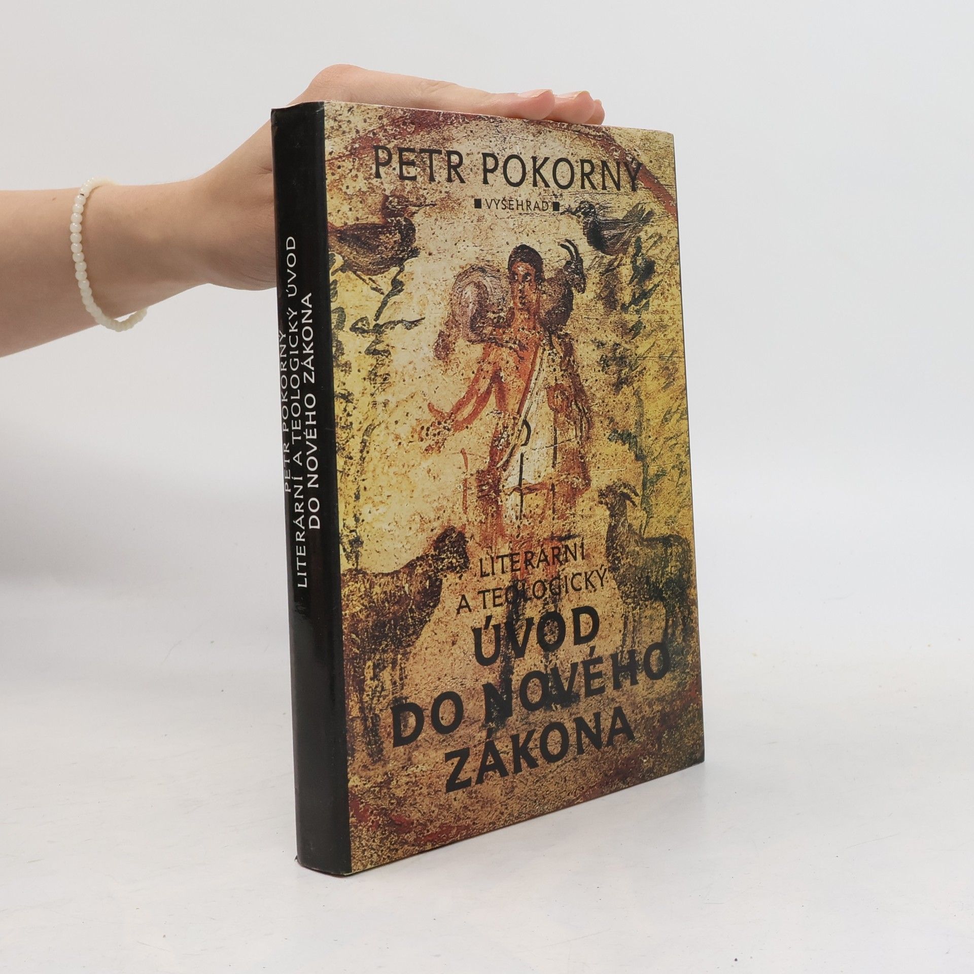 Petr Pokorný Literární a teologický úvod do Nového zákona