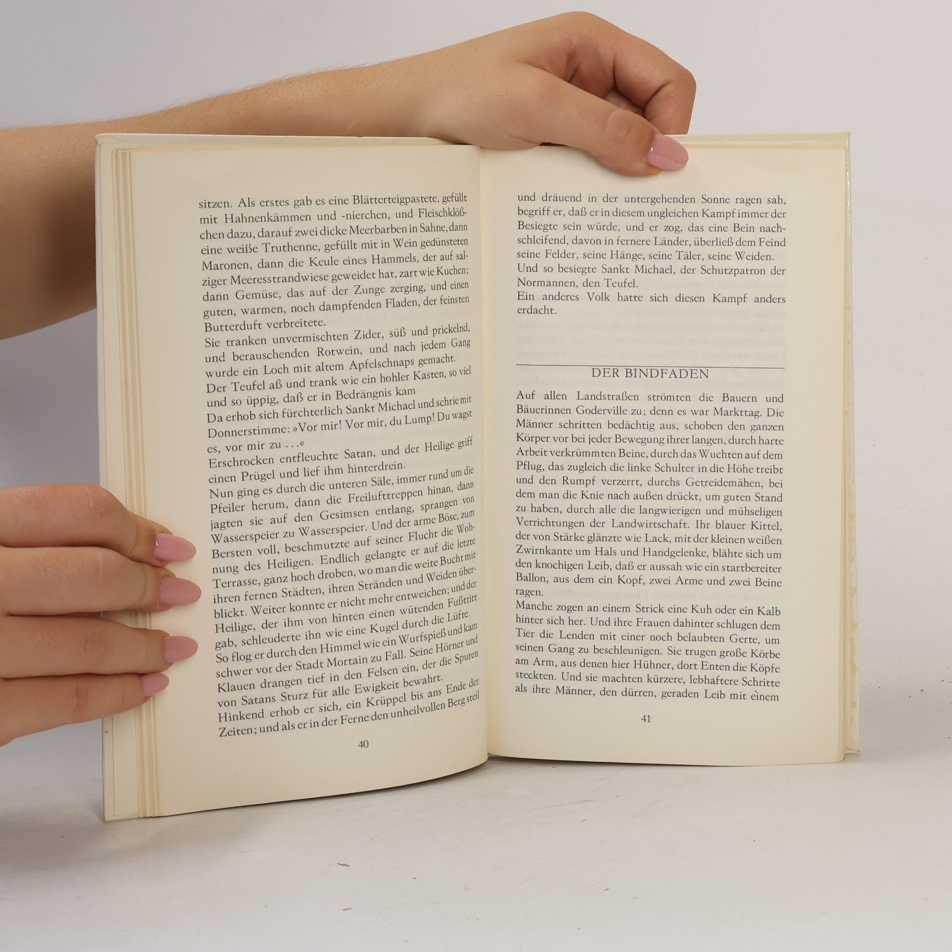Guy de Maupassant Der Wolf und andere Geschichten
