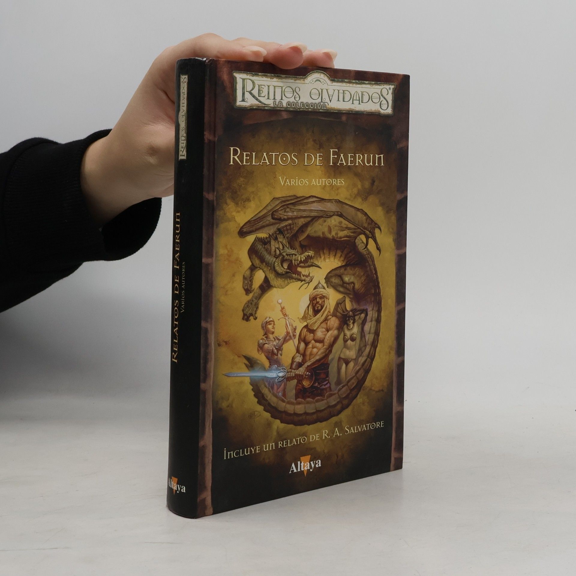 R. A. Salvatore Relatos de Faerun