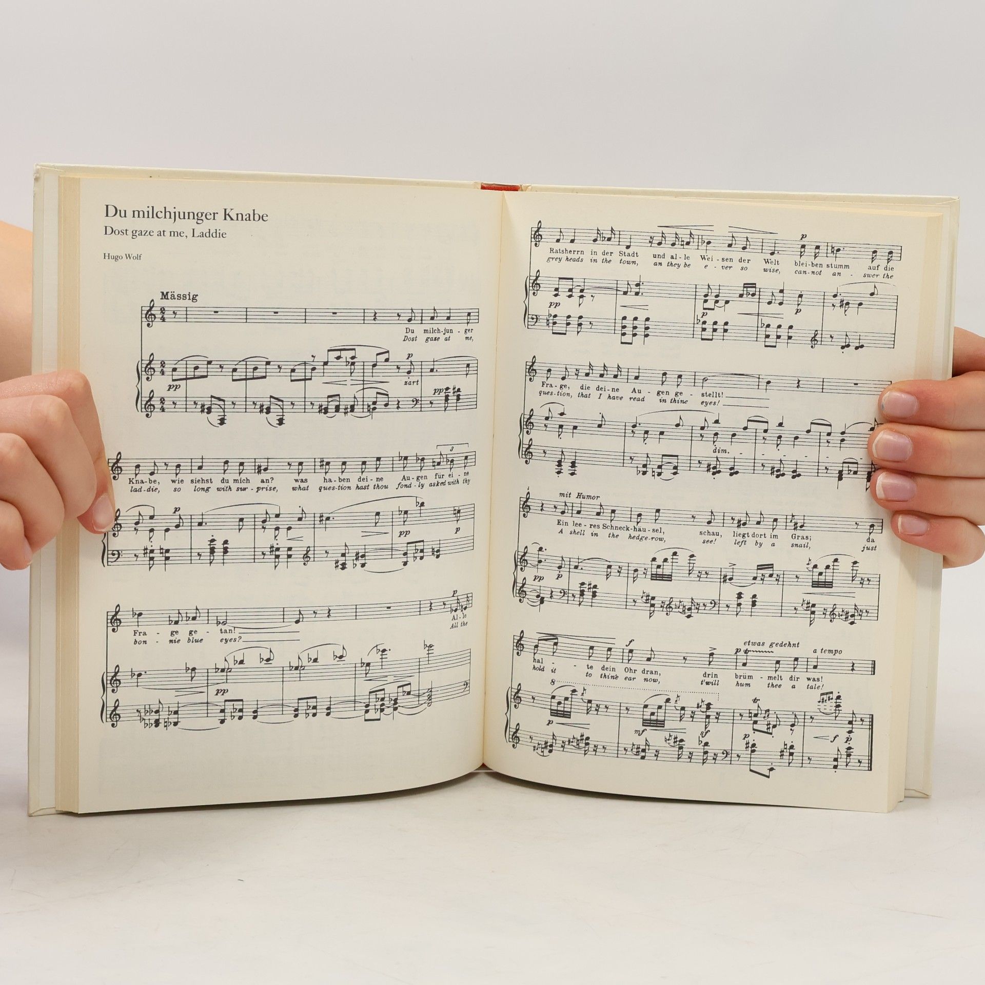 Albrecht Dümling Gottfried Keller vertont von Johannes Brahms, Hans Pfitzner, Hugo Wolf