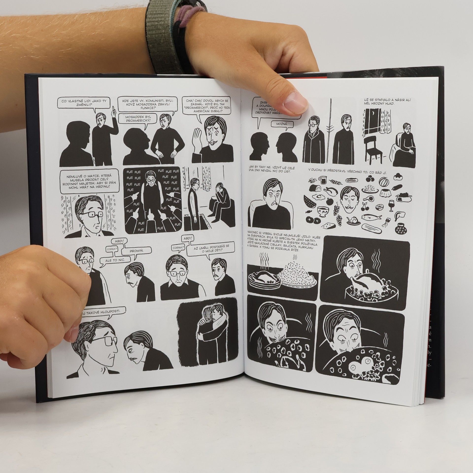 Marjane Satrapi Kuře na švestkách