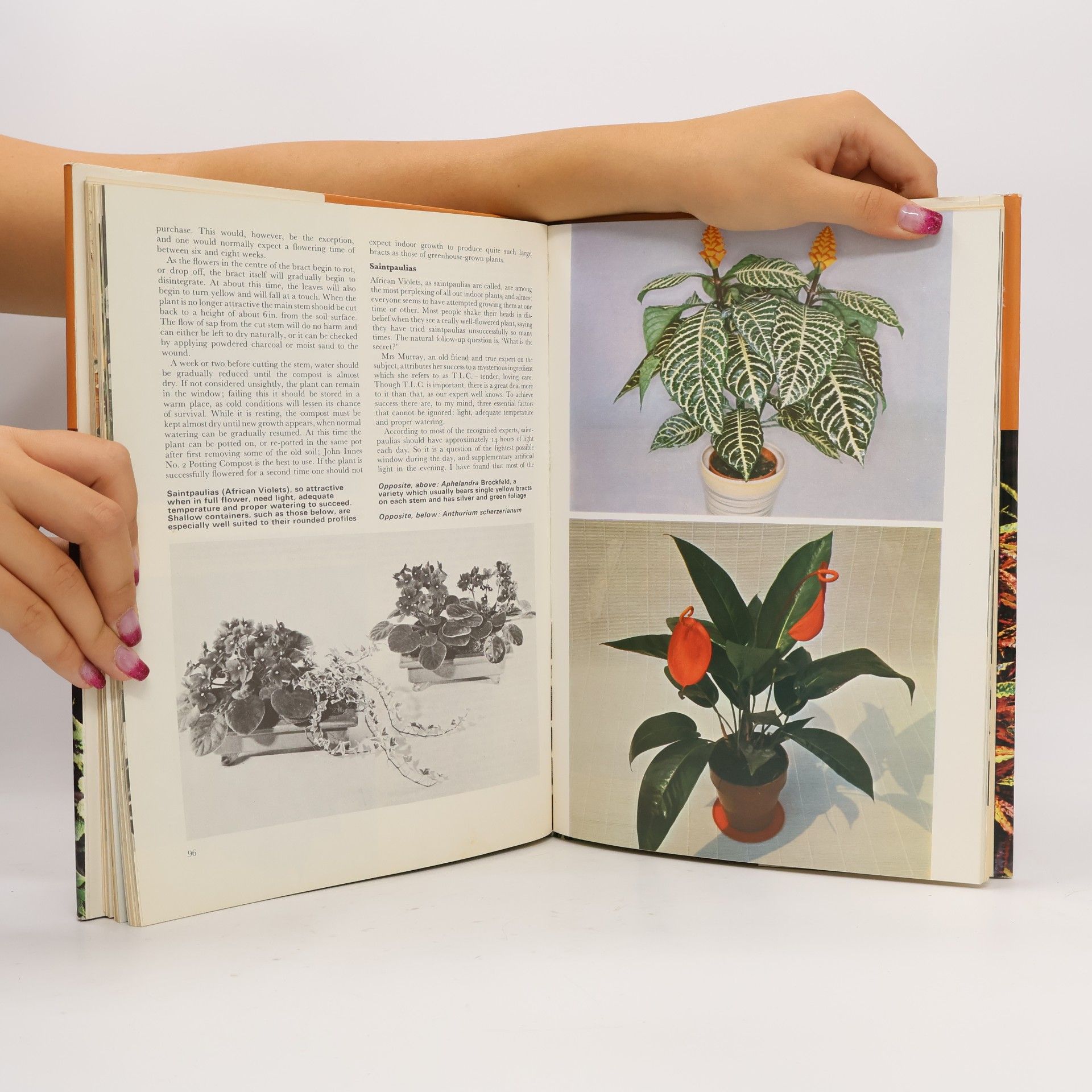 William Davidson Woman's Own Book of House Plants