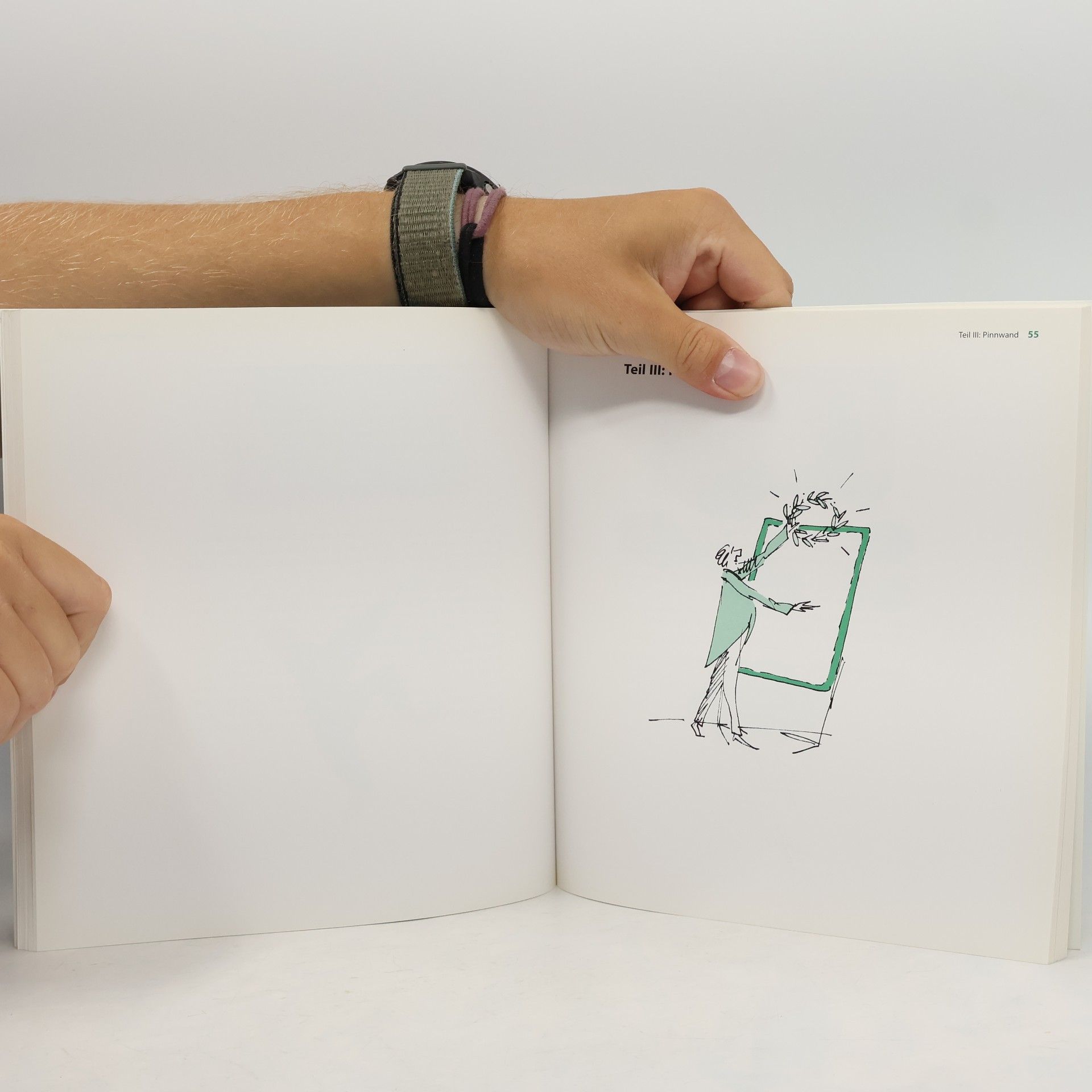 Bernd Weidenmann 100 Tipps & Tricks für Pinnwand und Flipchart