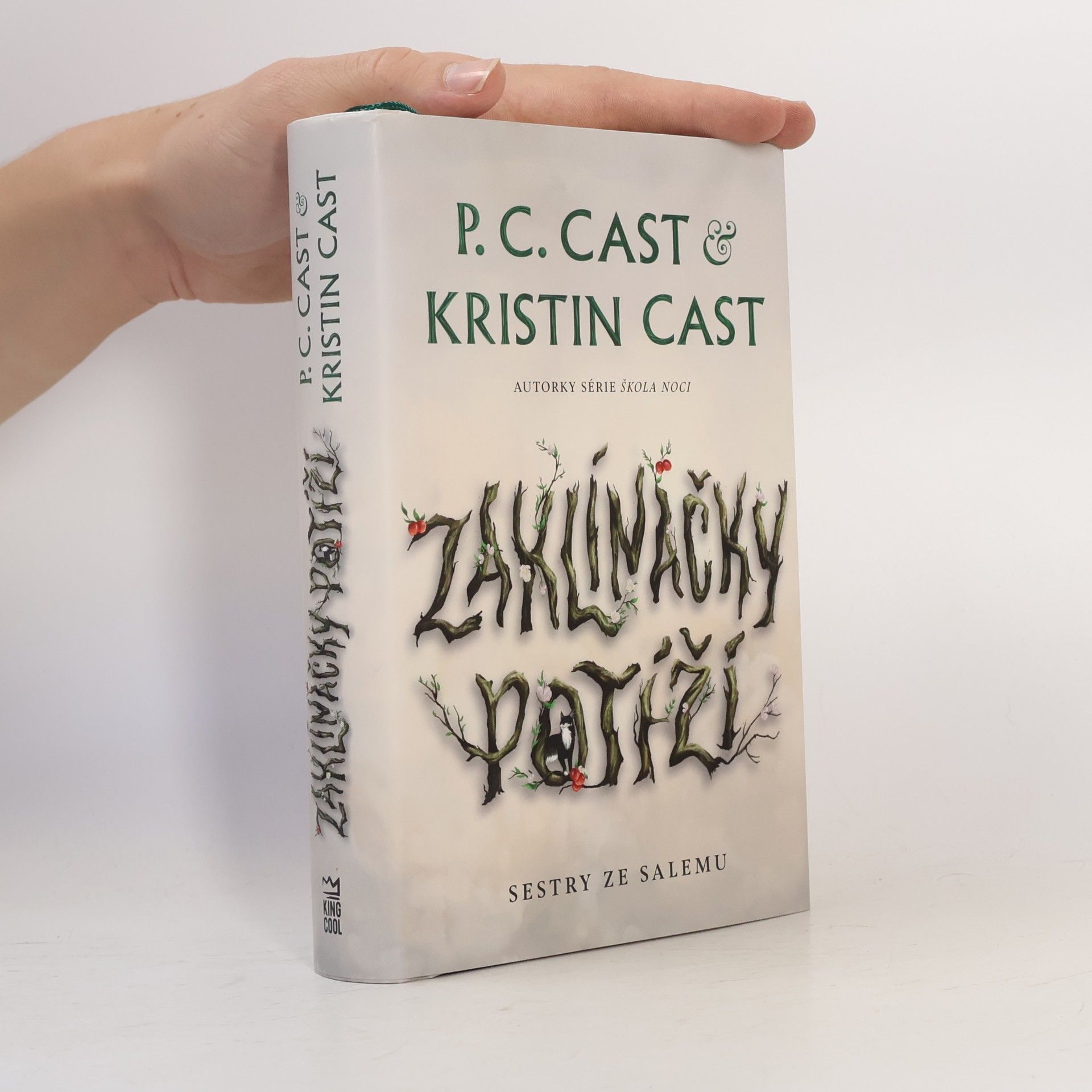 P. C. Cast Sestry ze Salemu. Zaklínačky potíží