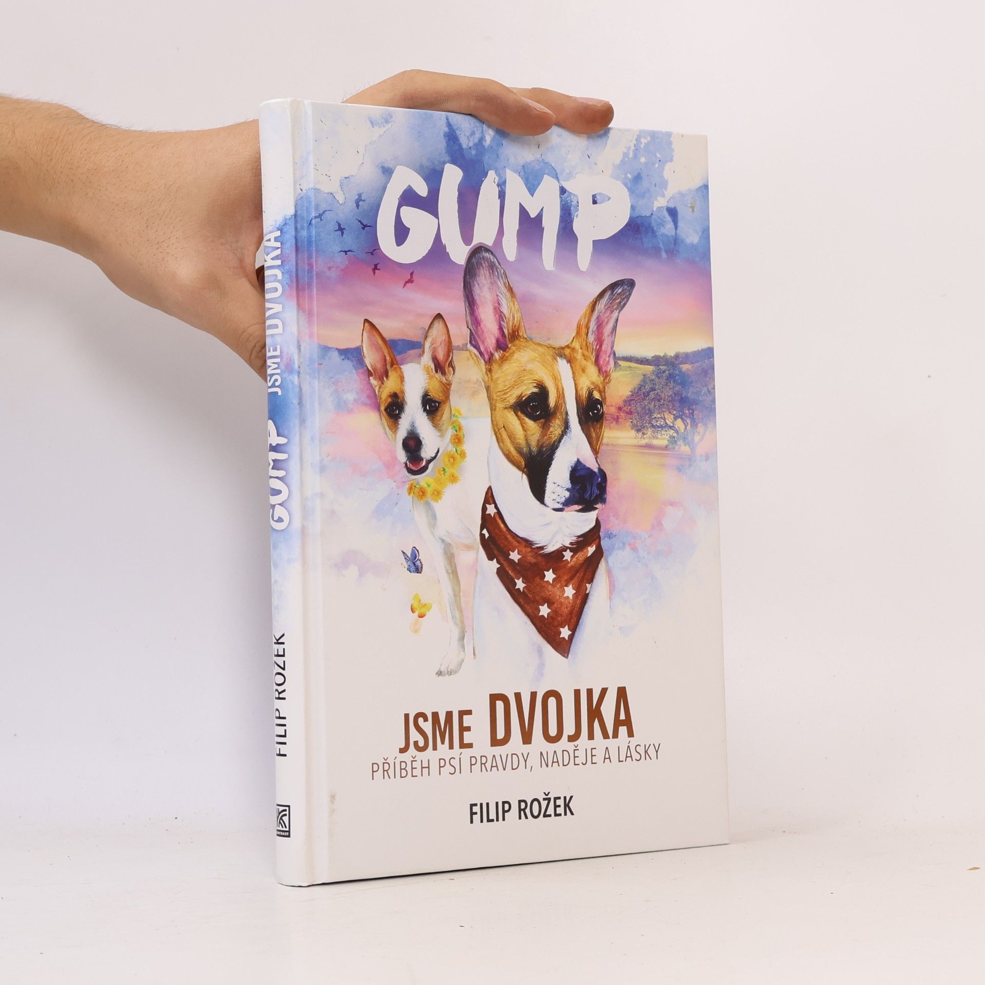 Filip Rožek Gump jsme dvojka: Příběh psí pravdy, naděje a lásky