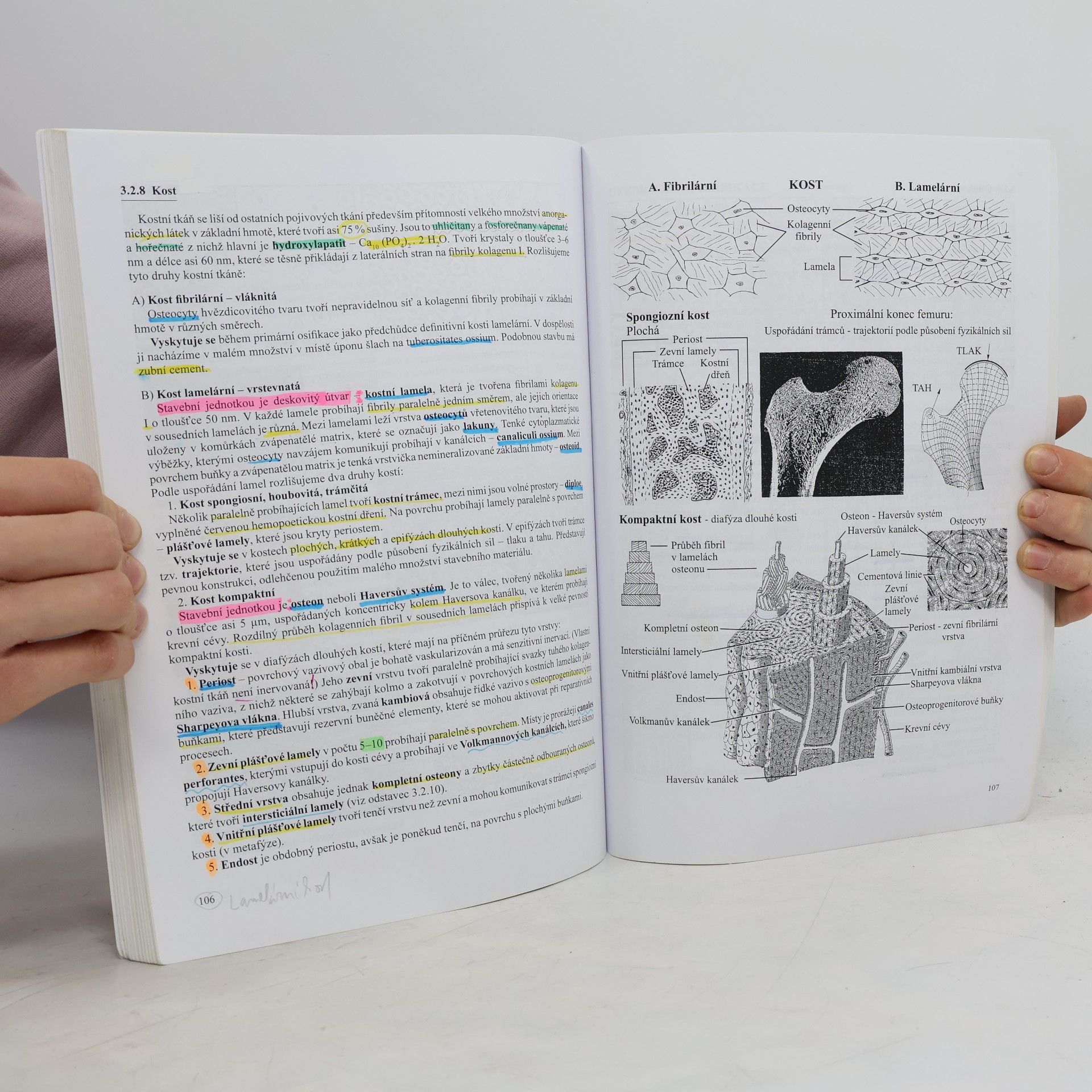 Jiří Malínský Přehled histologie člověka v obrazech. I. díl