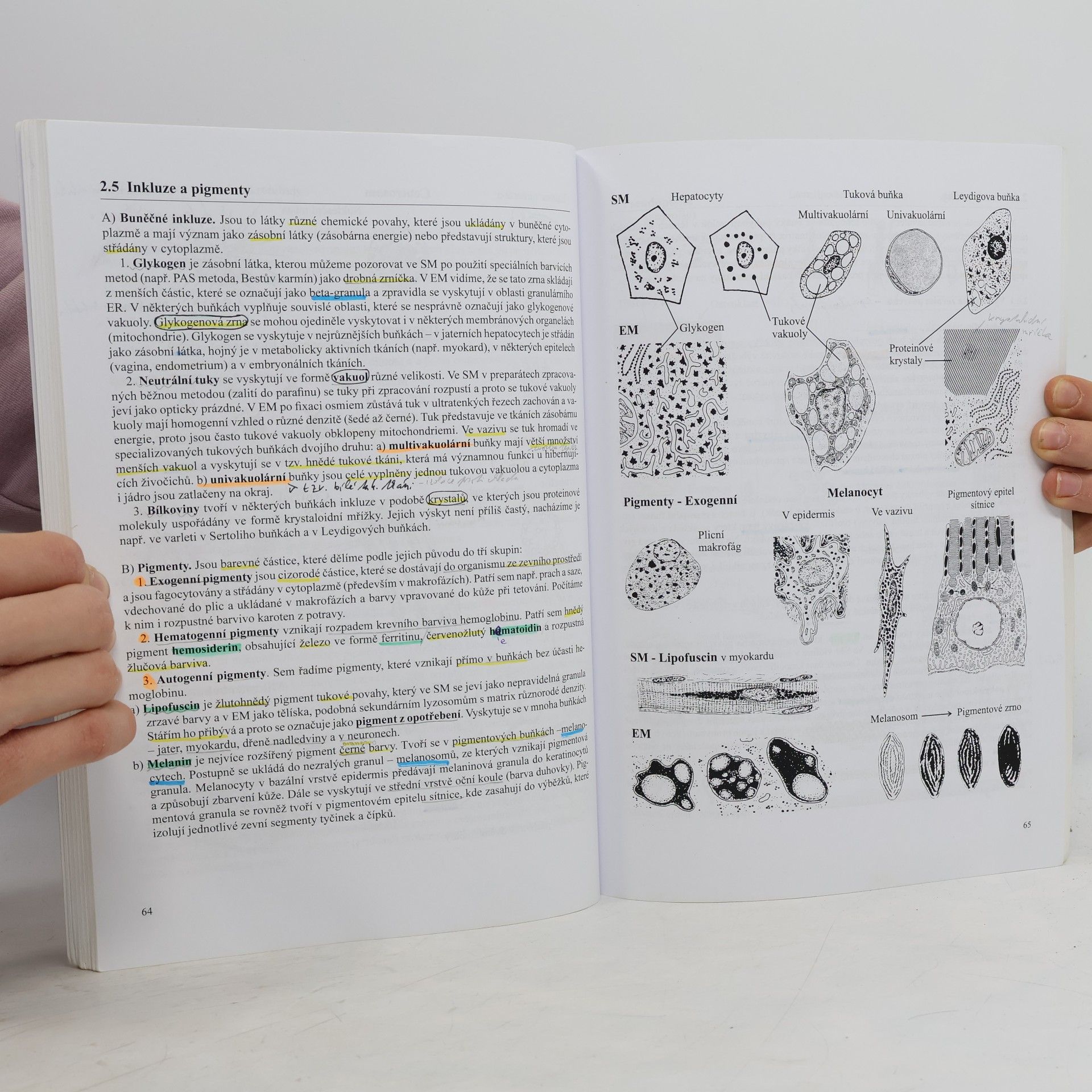 Jiří Malínský Přehled histologie člověka v obrazech. I. díl