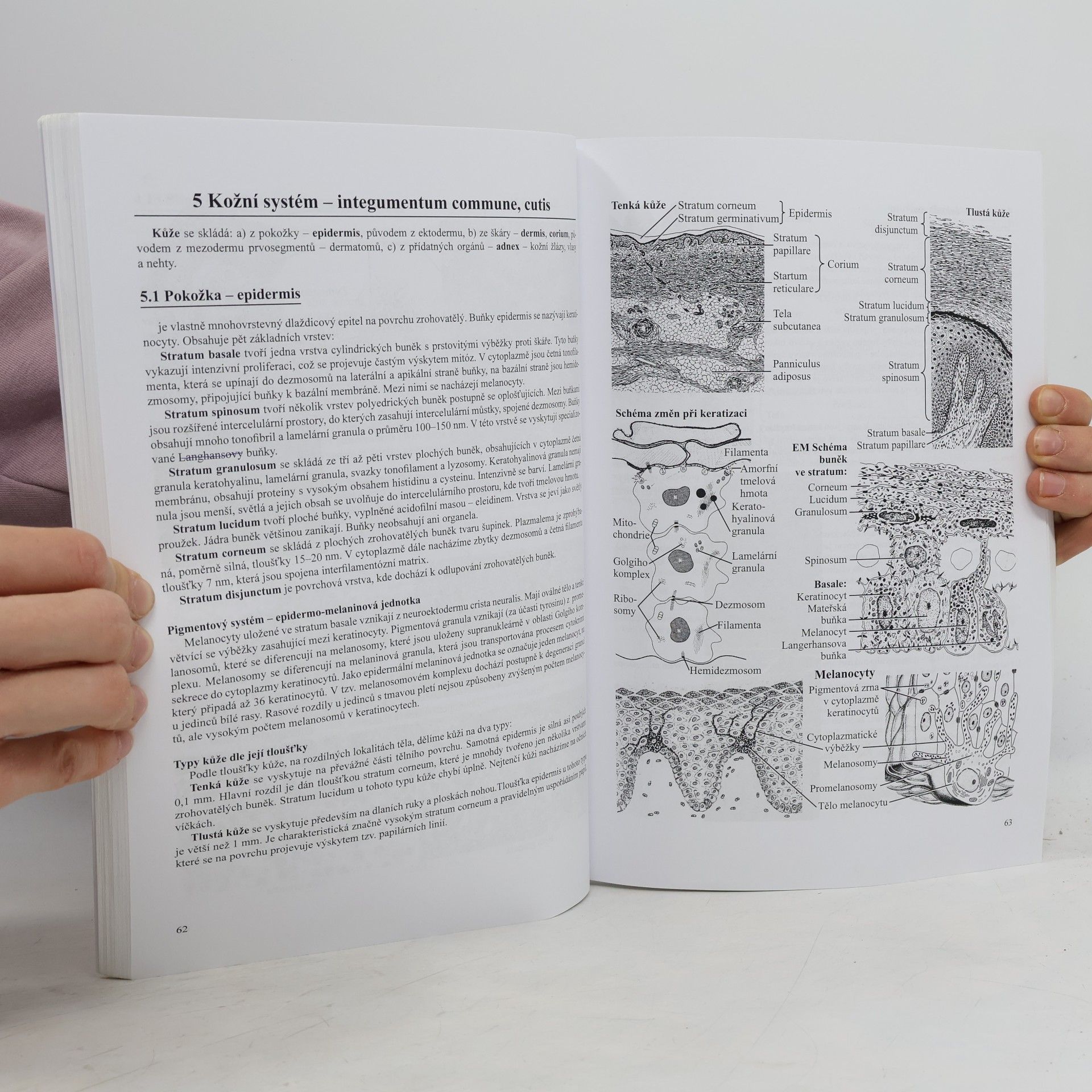 Jiří Malínský Přehled histologie člověka v obrazech. II. díl