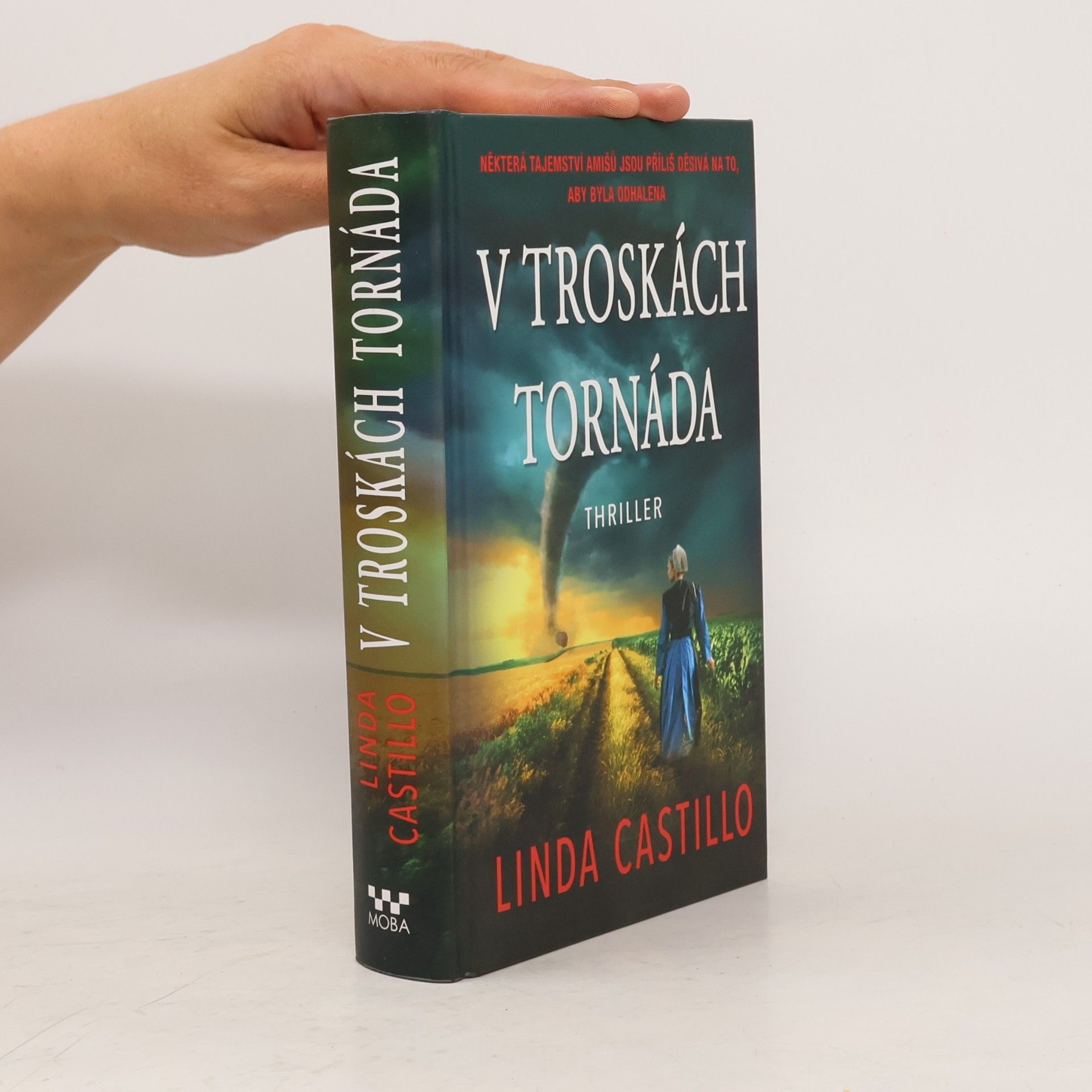 Linda Castillo V troskách tornáda