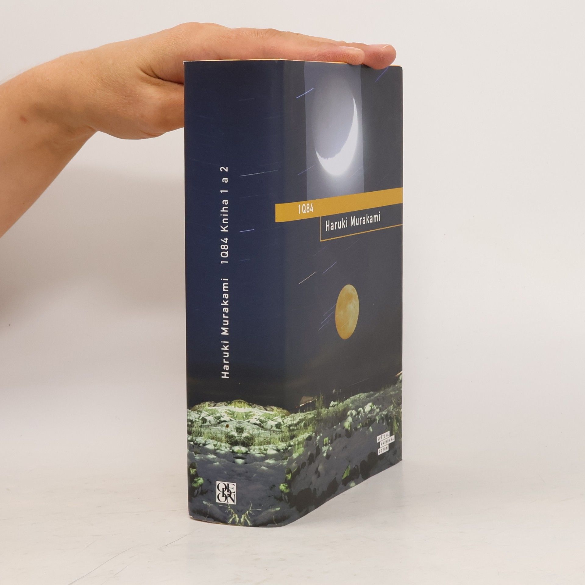 Haruki Murakami 1Q84. Kniha 1 a 2