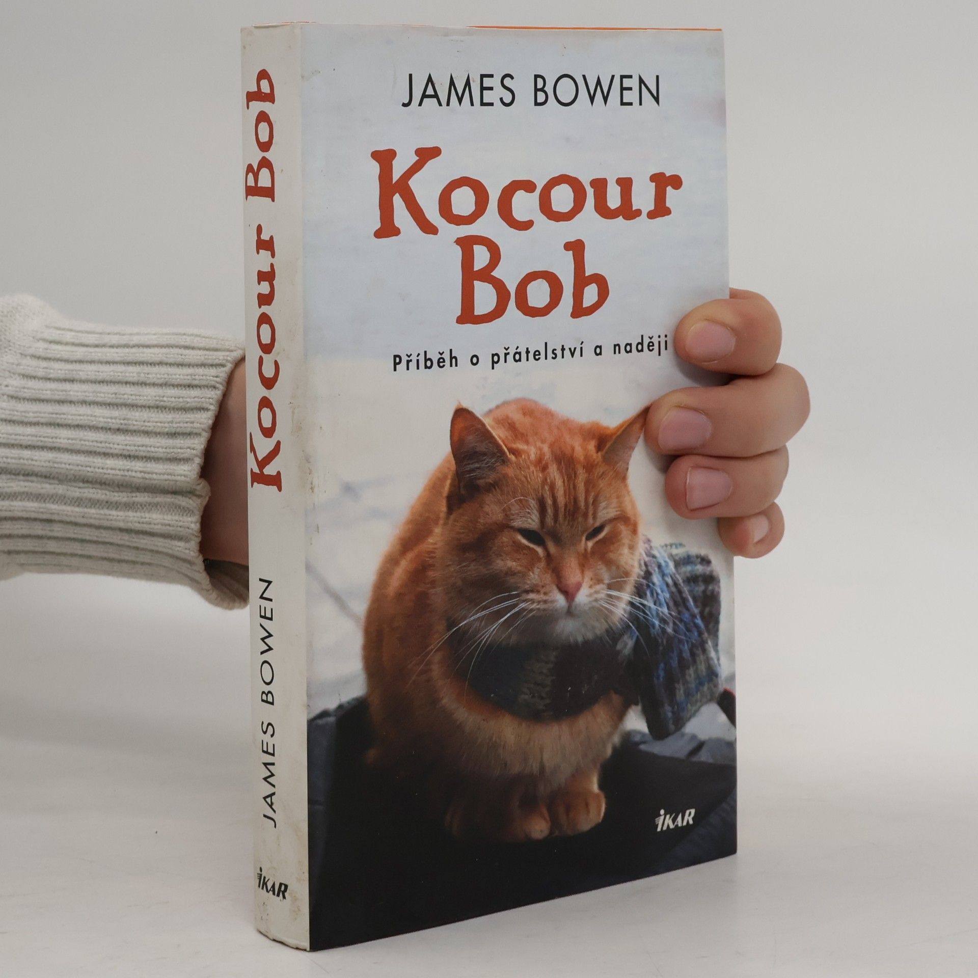 James Bowen Kocour Bob