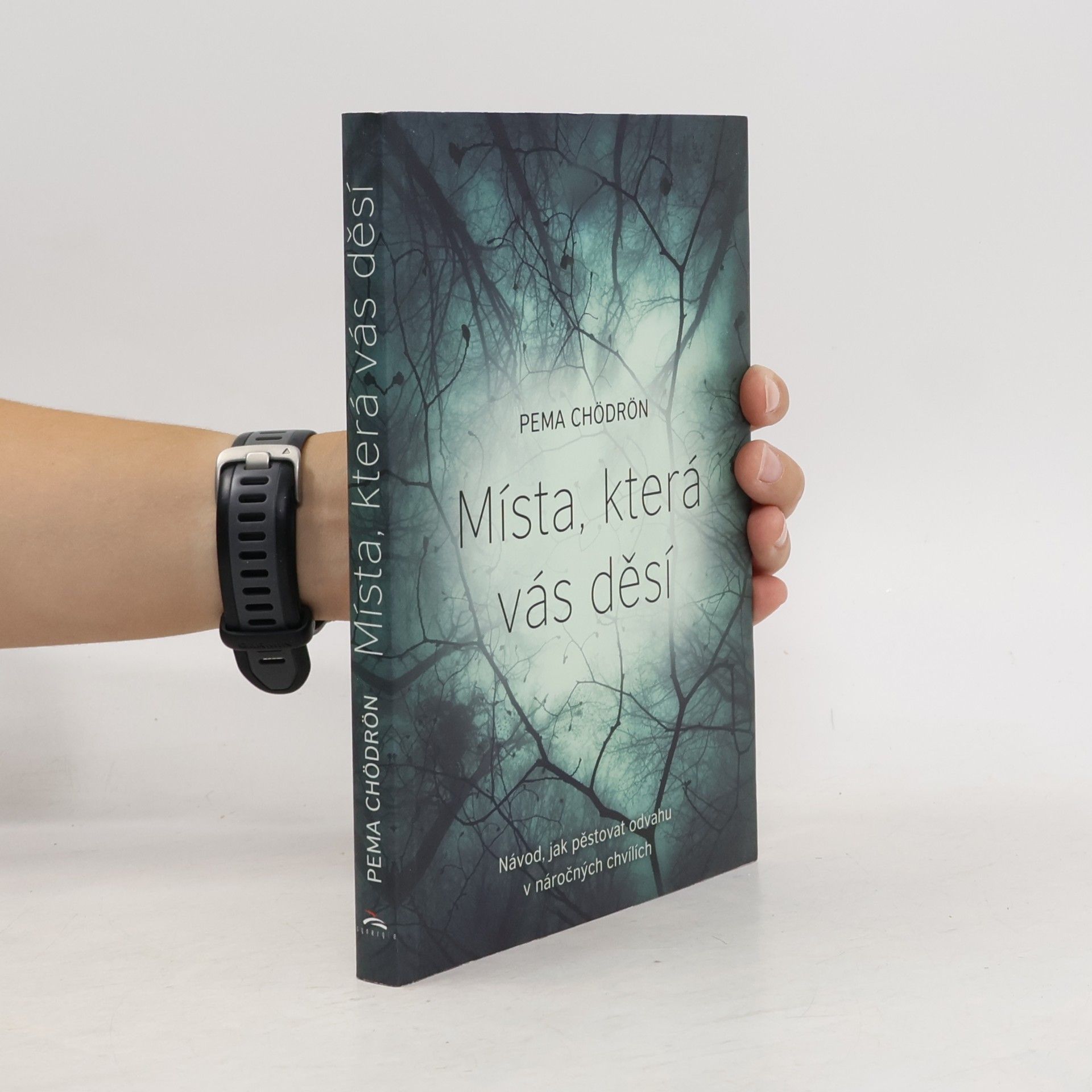 Pema Chödrön Místa, která vás děsí